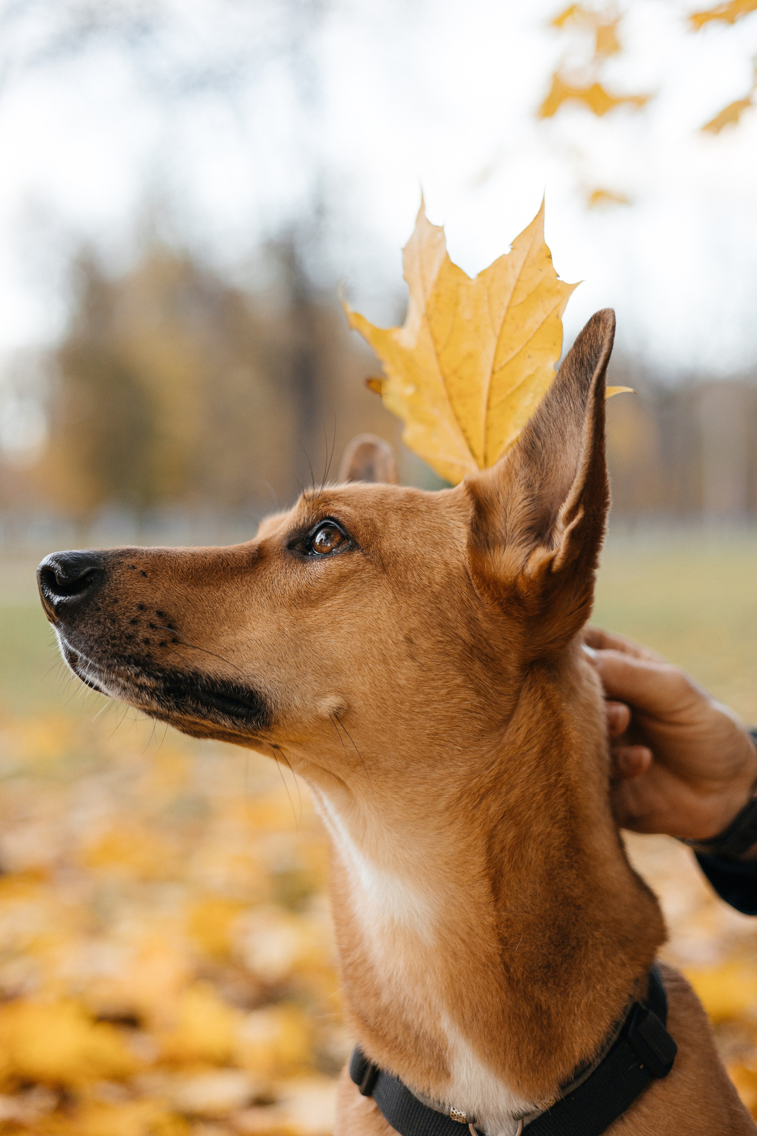 Нелли, Лёша, Рэй и Норд. Фотограф Анна Луценко Москва