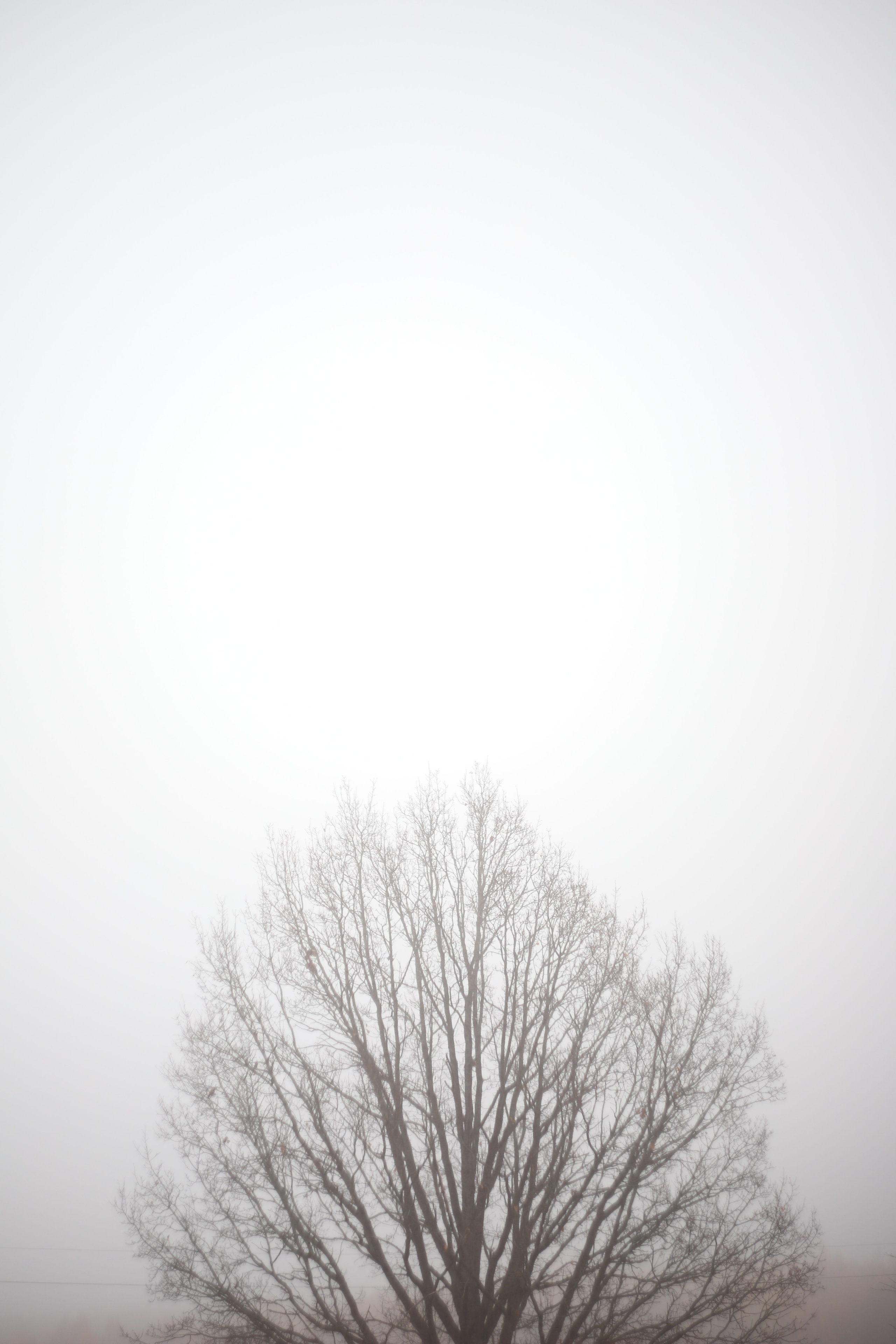 Природа. Фотограф Ольга Мурзина