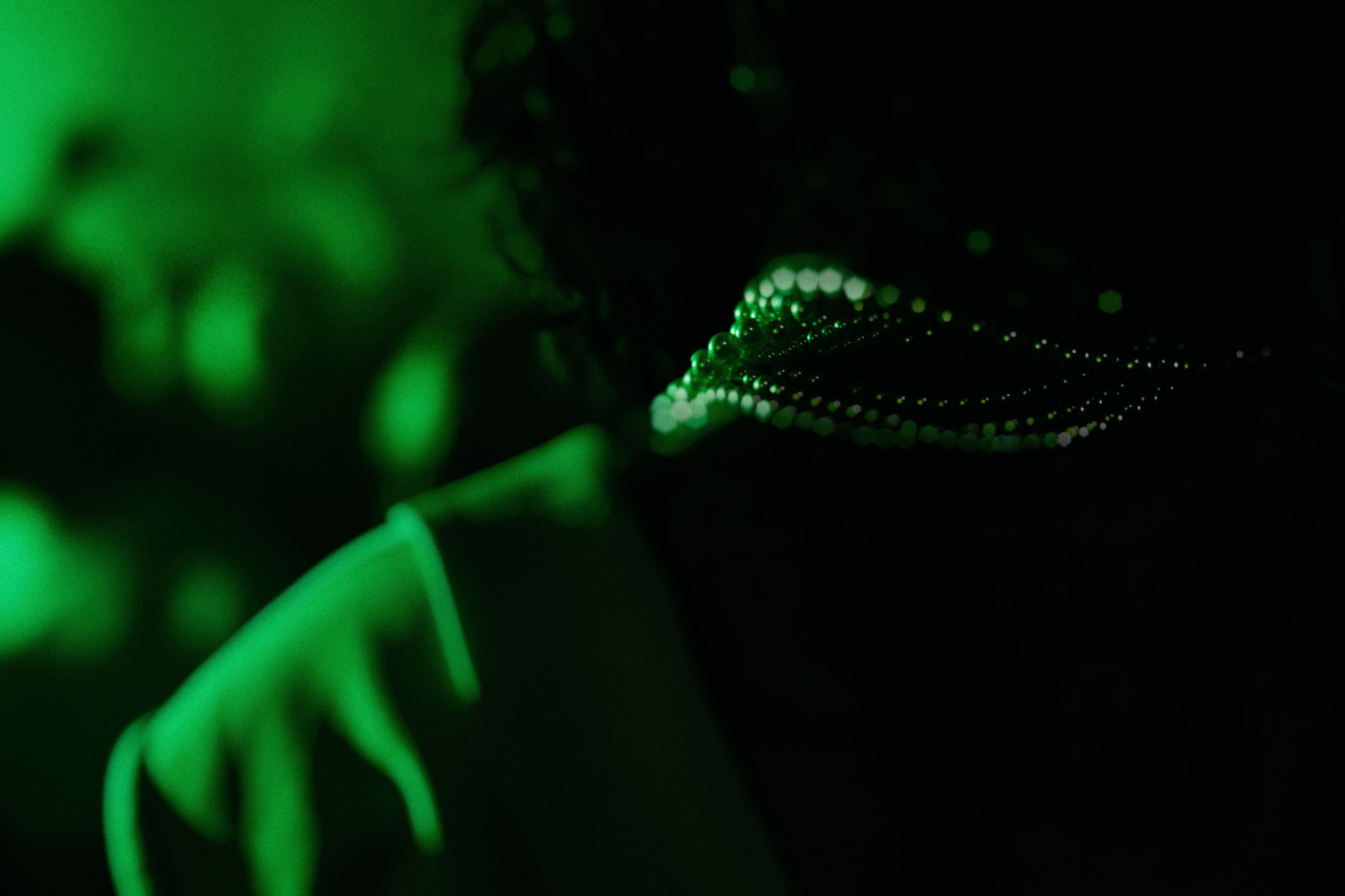 FORUM 9 SOVA. Фотограф Иркутск Антипин Сергей