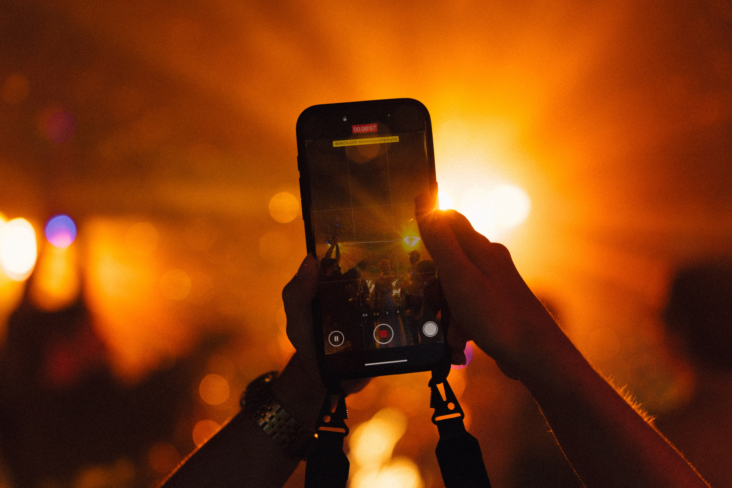 Forest Symphony. Фотограф в Санкт-Петербурге Александр Дымов