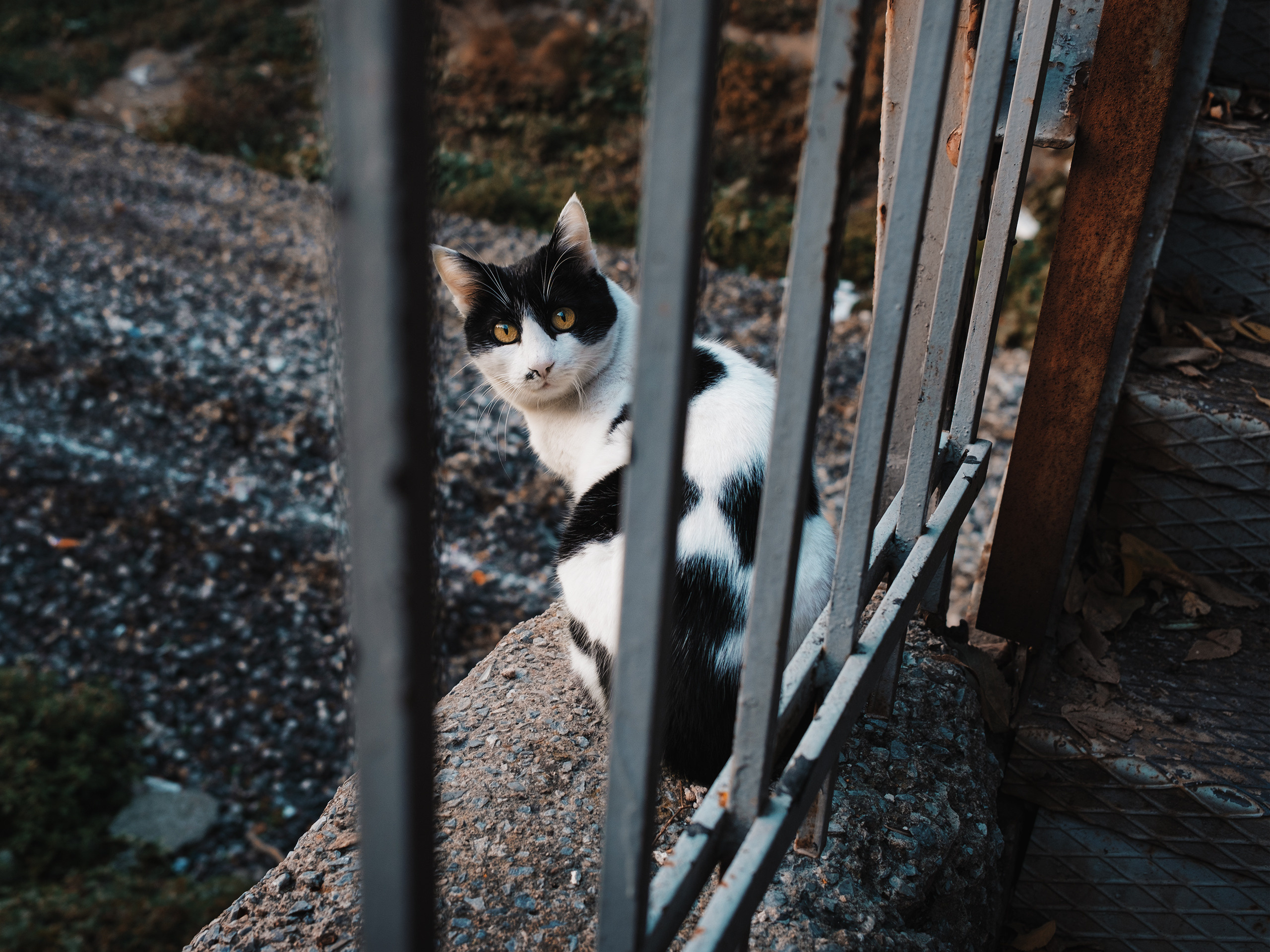 Улицы Турции ч.1. Фотограф документалист Виктор Гаршнеп