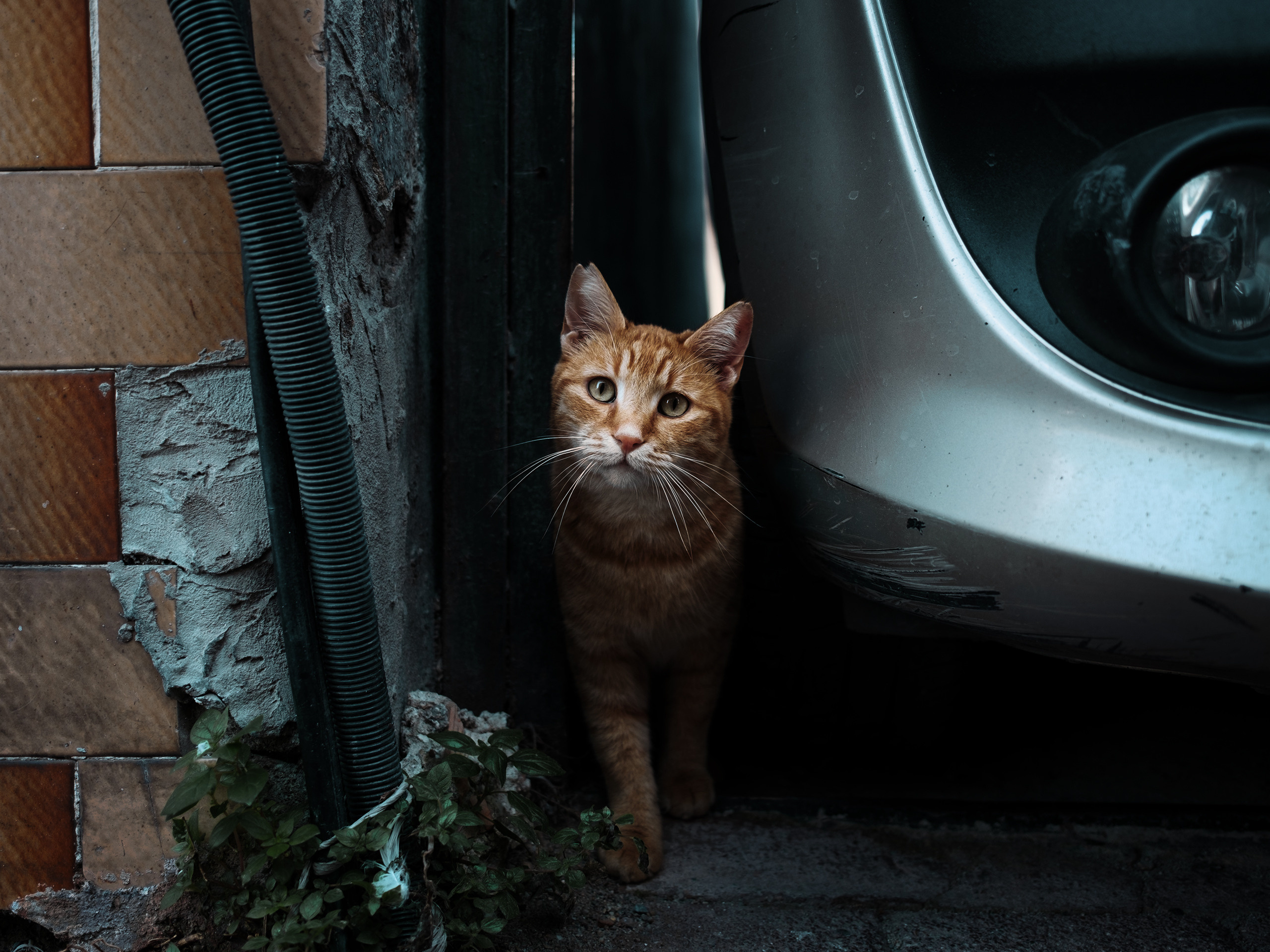 Улицы Турции ч.1. Фотограф документалист Виктор Гаршнеп