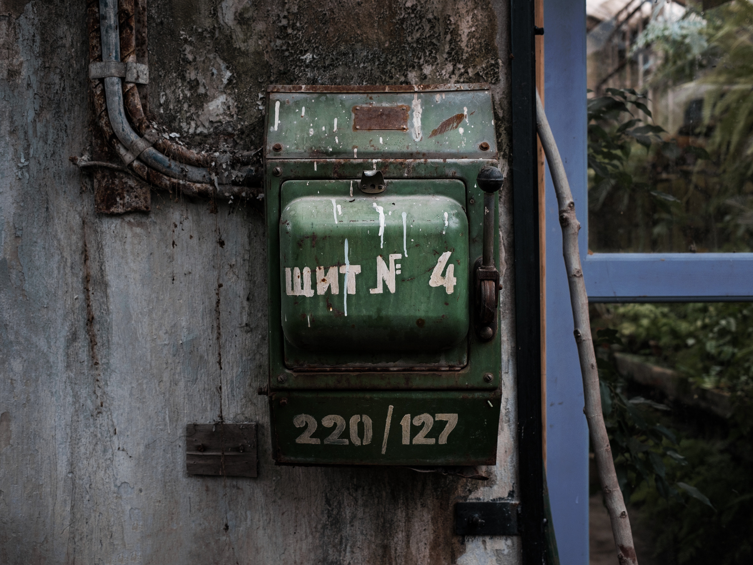 Оранжерея. Фотограф документалист Виктор Гаршнеп