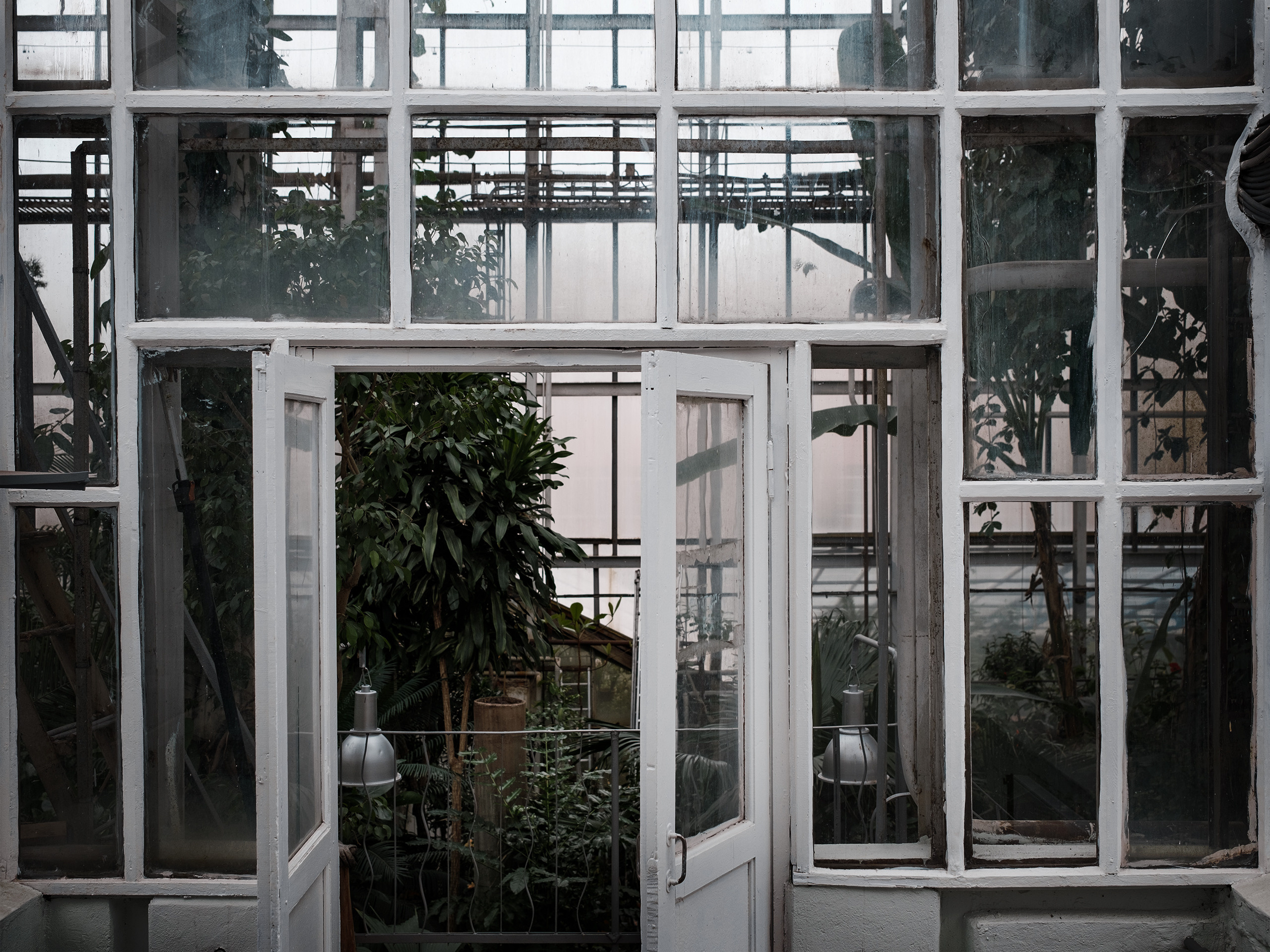 Оранжерея. Фотограф документалист Виктор Гаршнеп