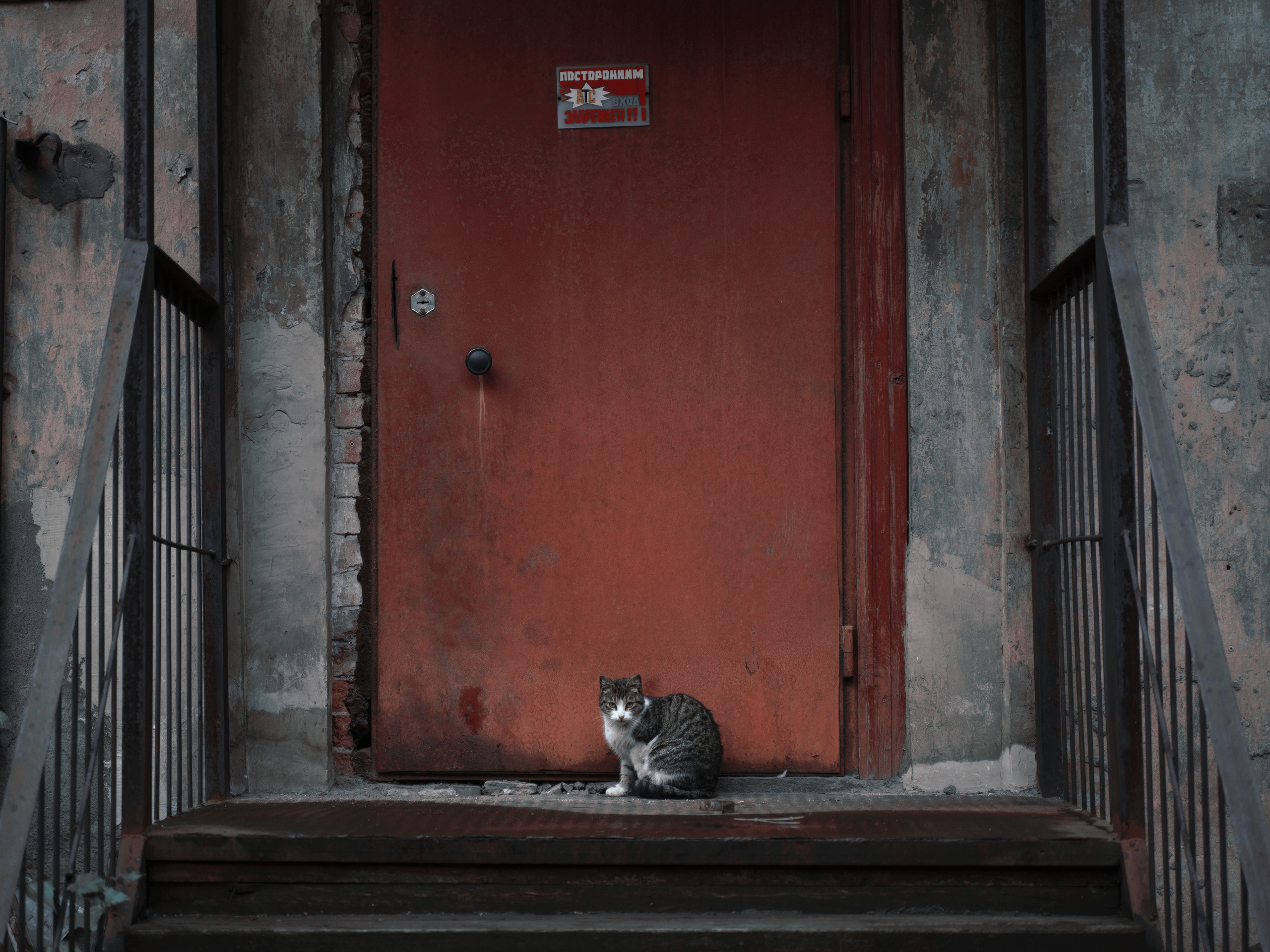 Галерная. Фотограф документалист Виктор Гаршнеп