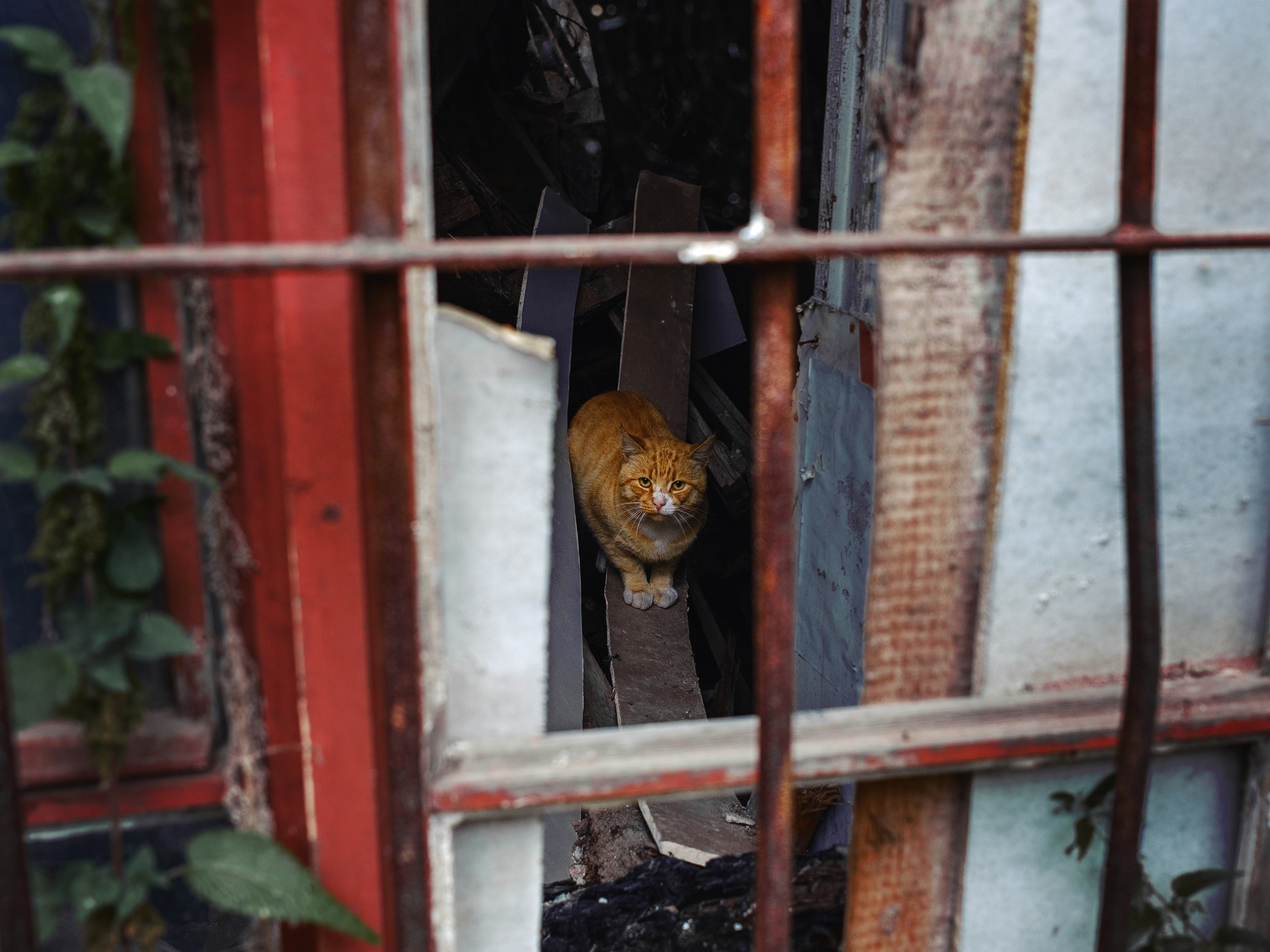 Улицы ч.2. Фотограф документалист Виктор Гаршнеп