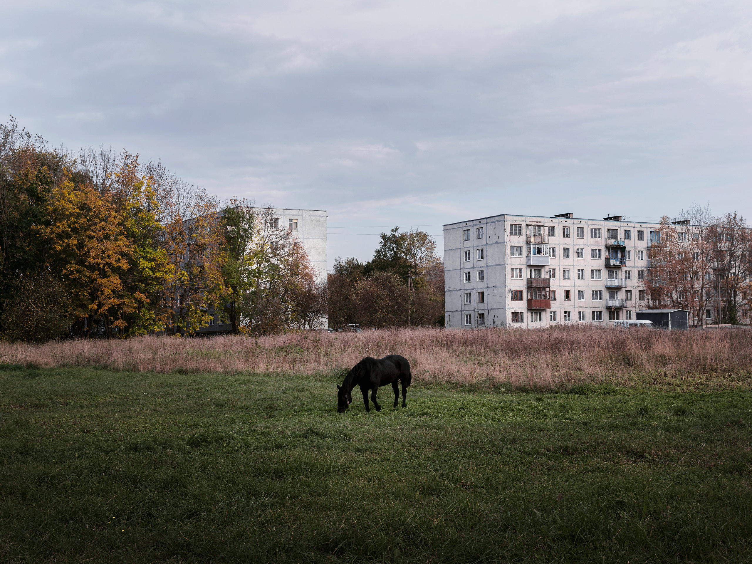 Улицы ч.3. Фотограф документалист Виктор Гаршнеп