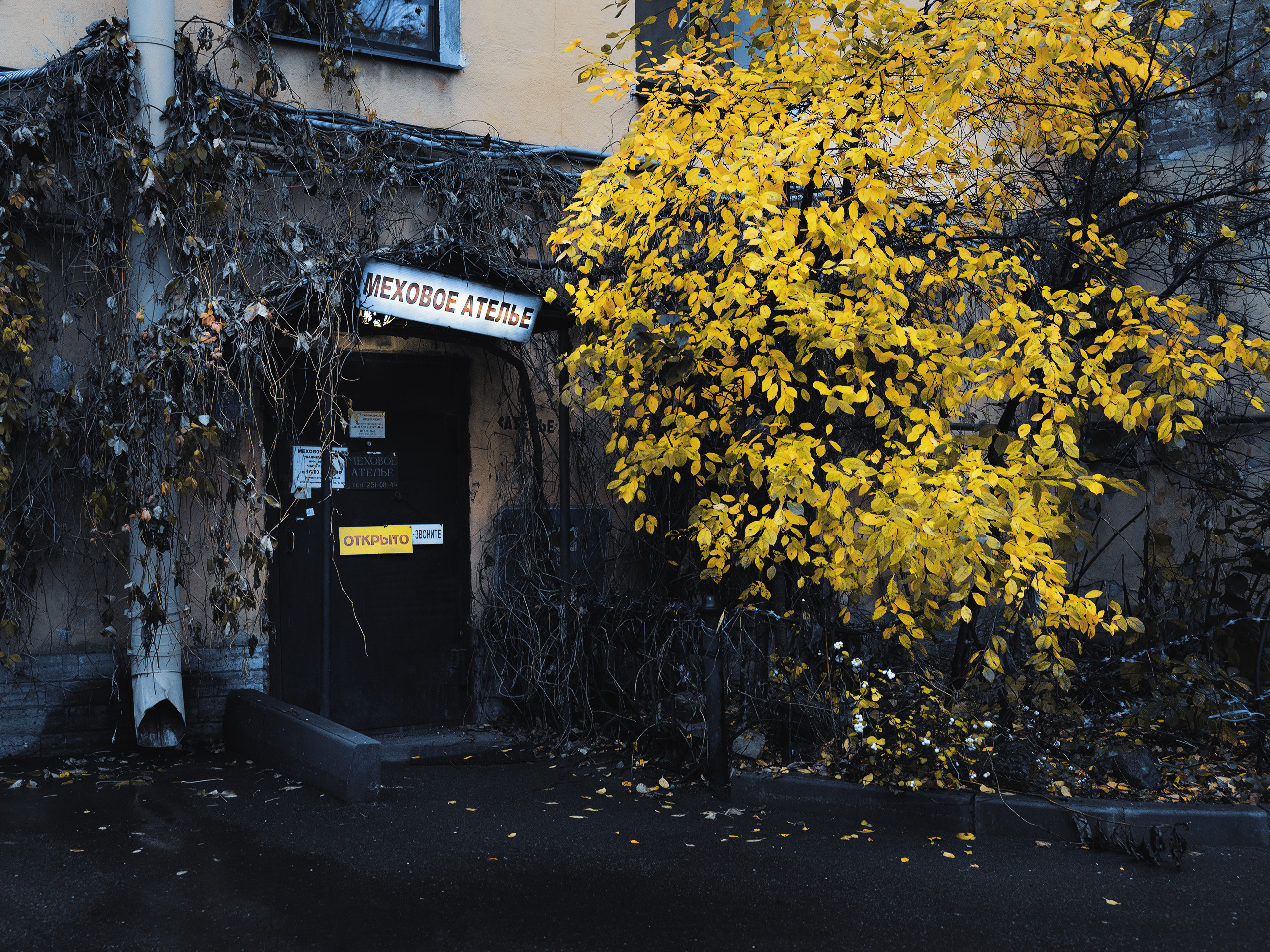 Улицы ч.2. Фотограф документалист Виктор Гаршнеп