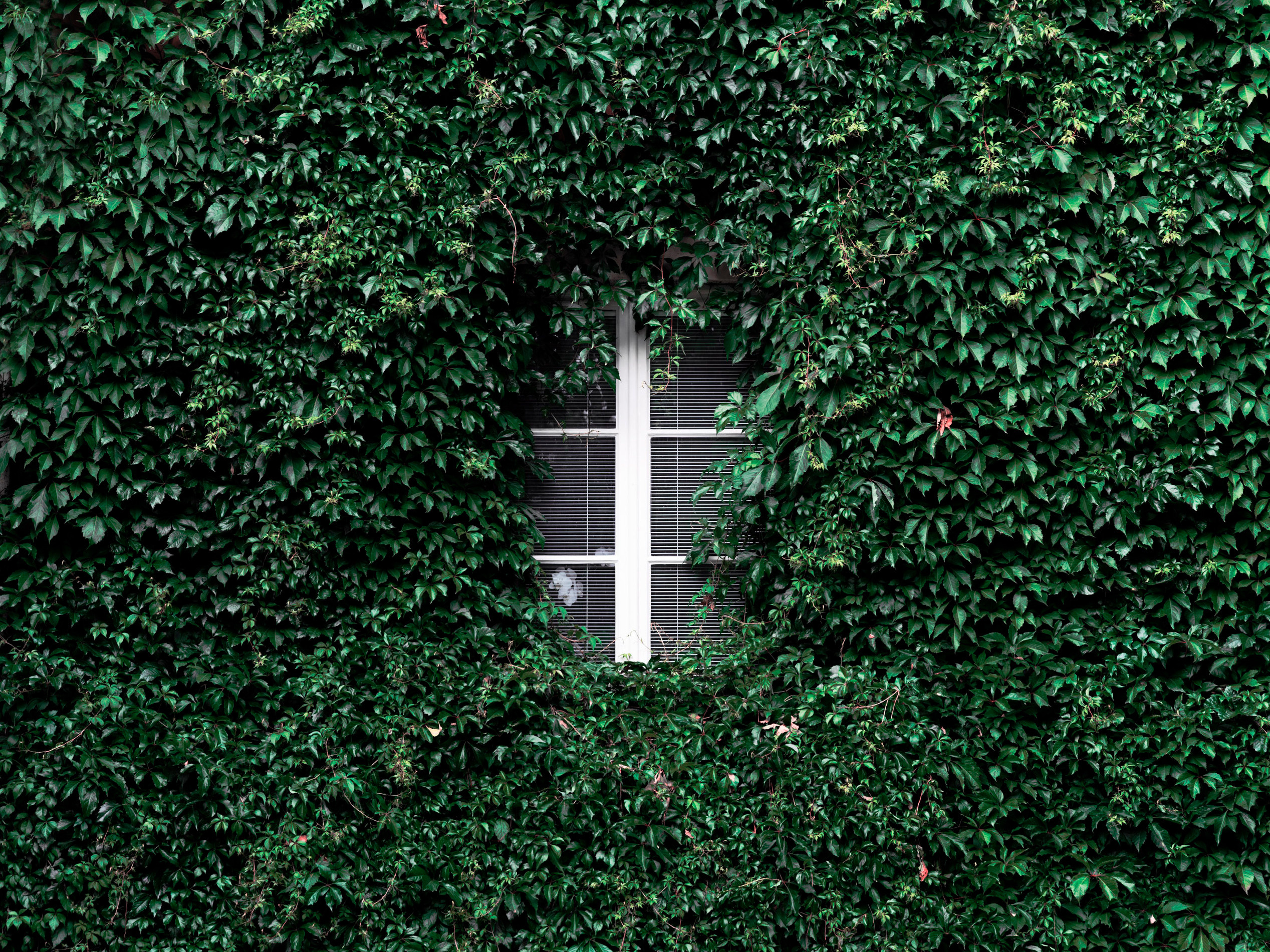 Стокгольм ч.2. Фотограф документалист Виктор Гаршнеп