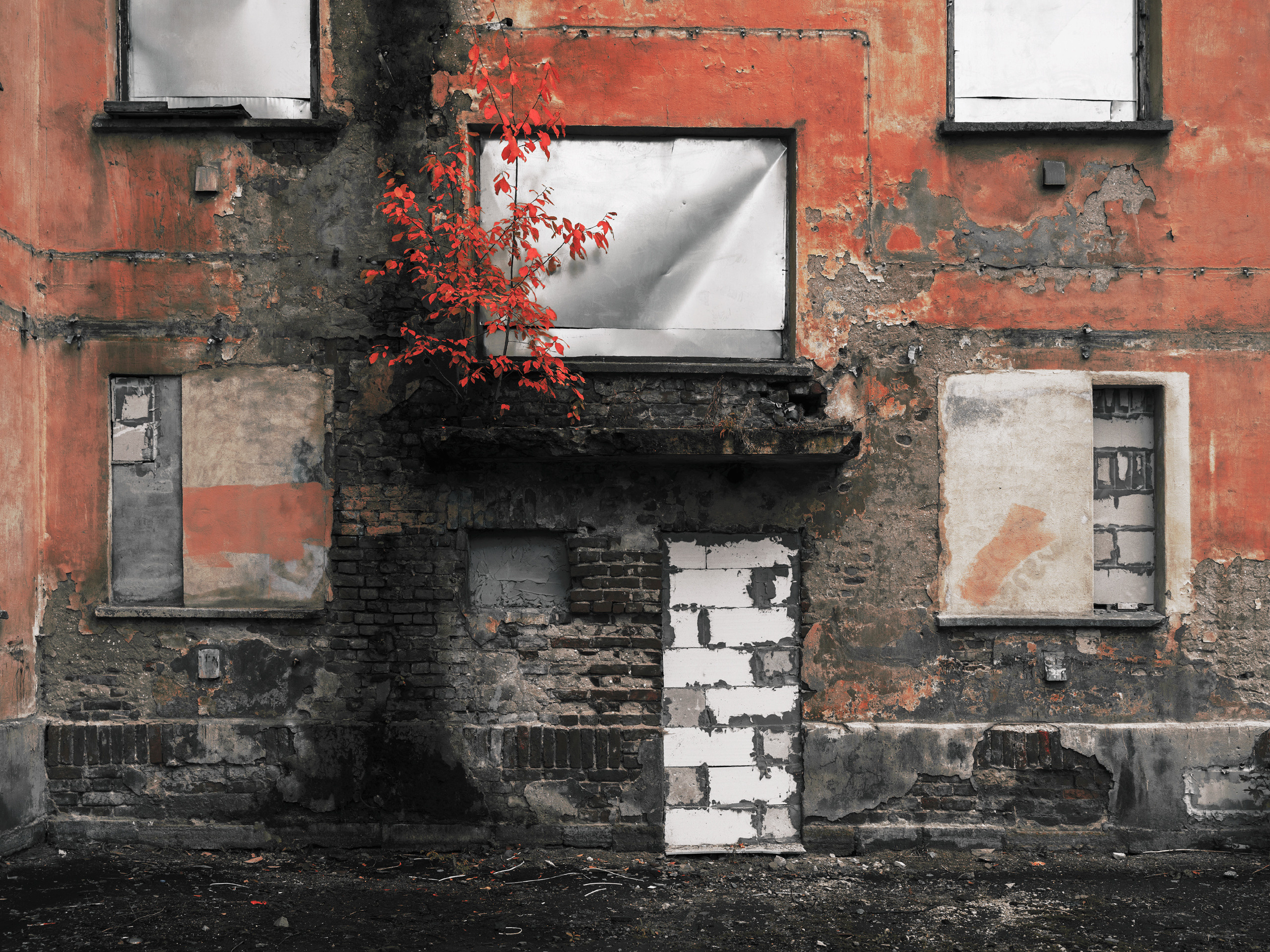 Defense. Viktor Garshnep Documentary Photographer