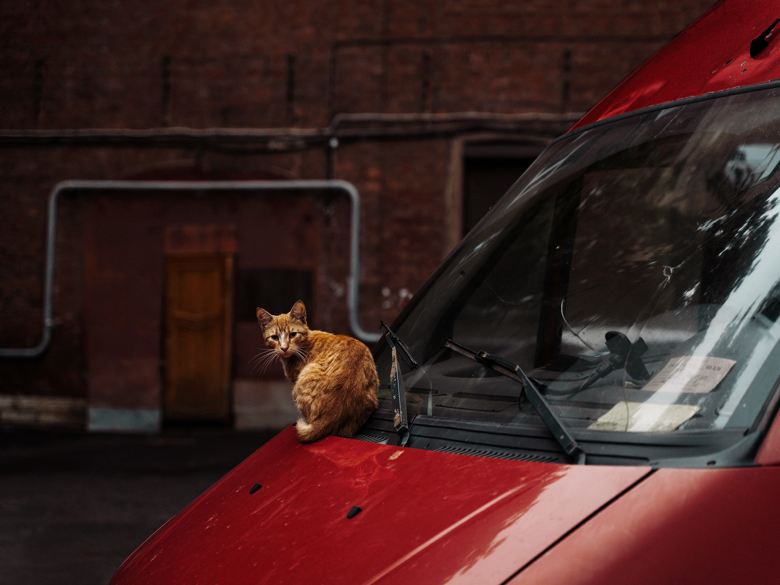 Улицы ч.3. Фотограф документалист Виктор Гаршнеп