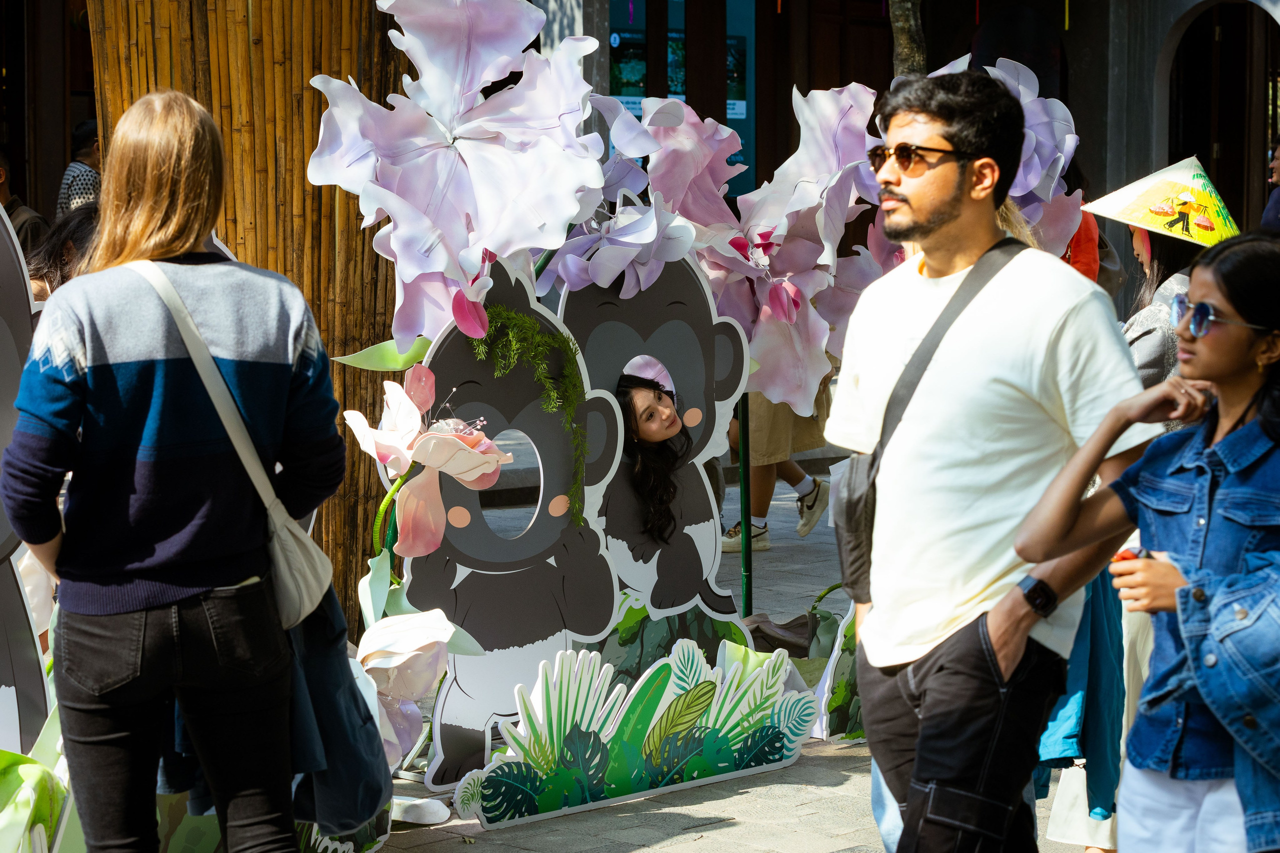 Вьетнам (зима 2025-2026). Фотограф Виноградов Константин