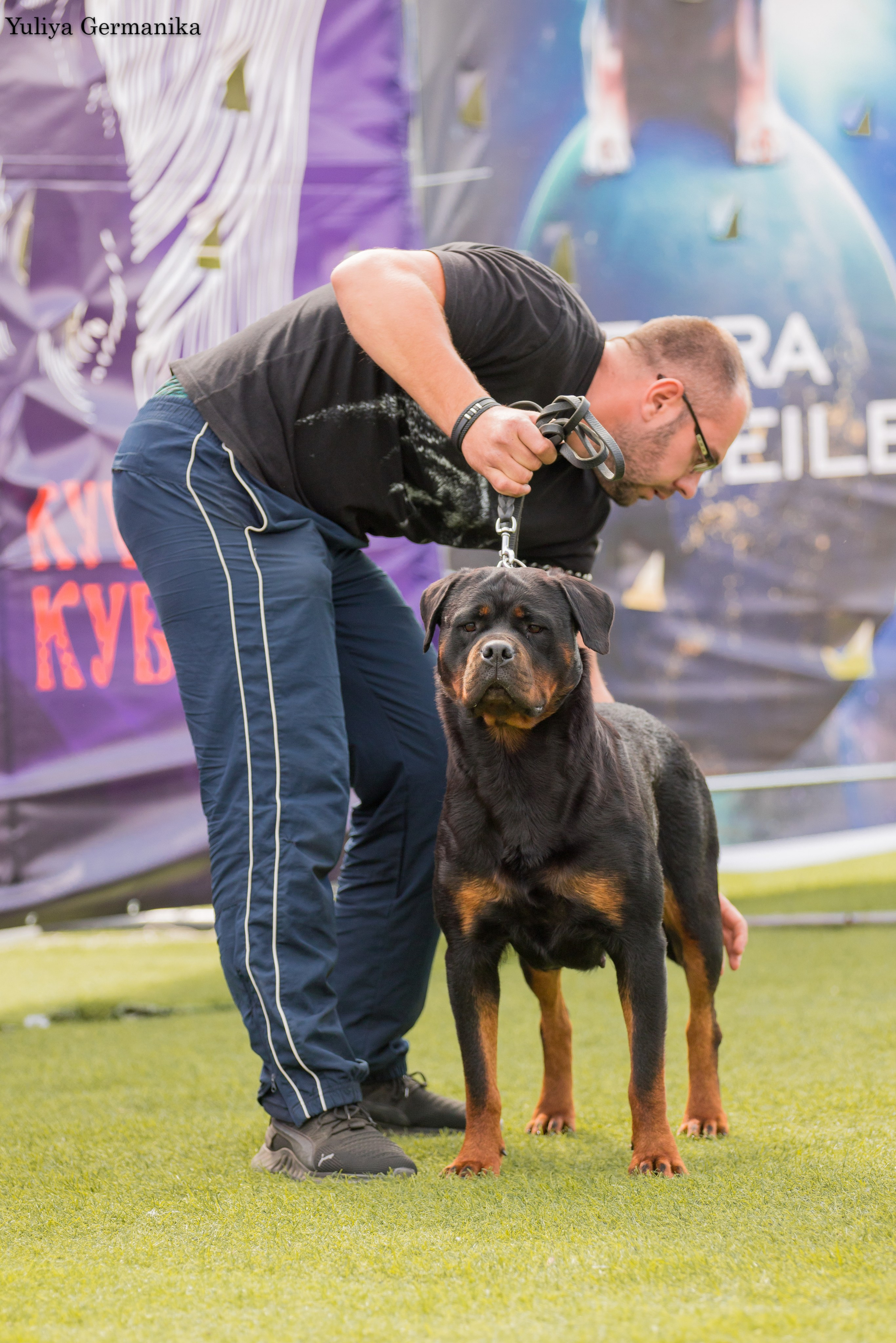 Анапа 16-17.09.2023 моно ротвейлеров. Фотограф-анималист Юлия Германика