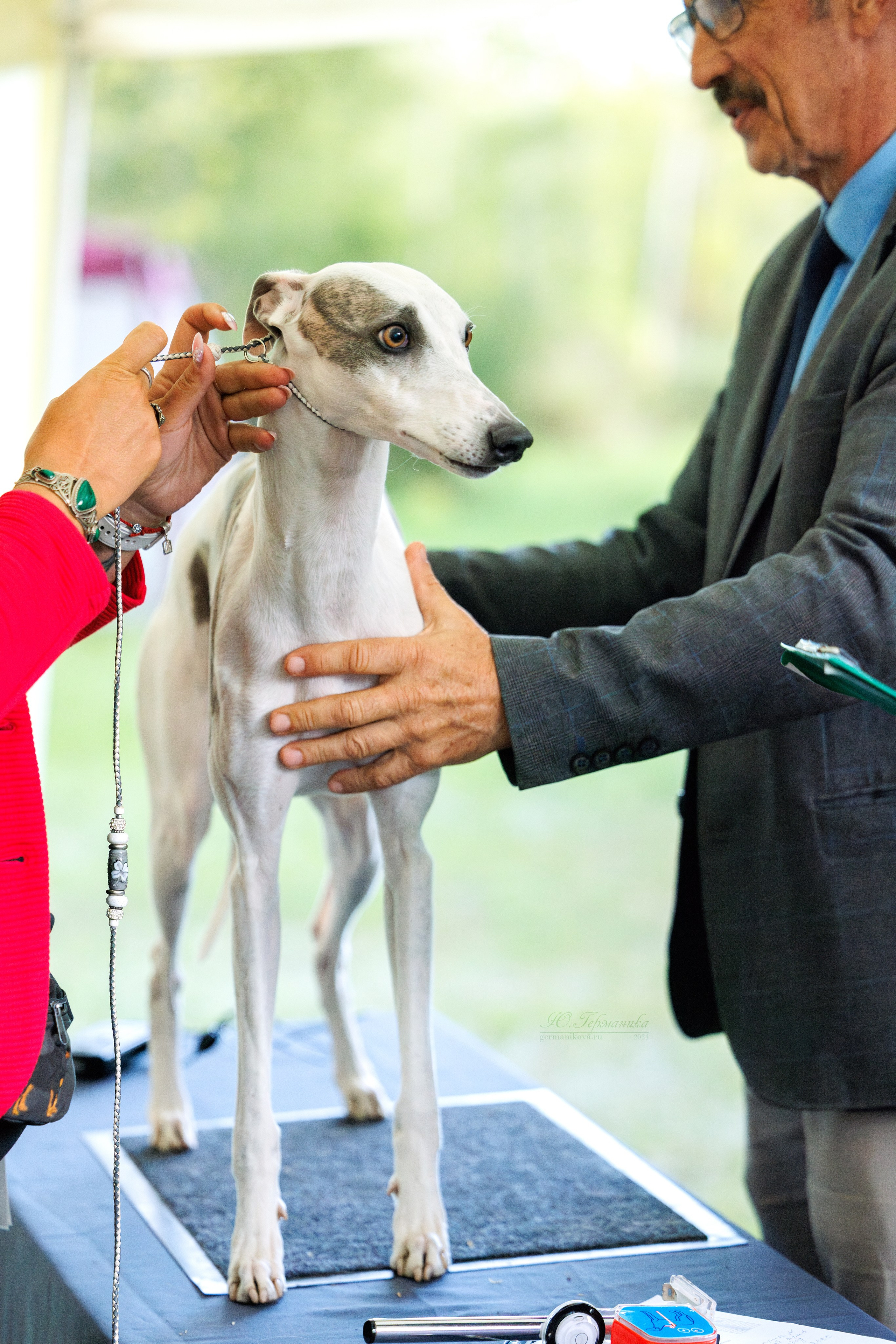 Астана 2хCACIB 17-18.08.2024. Фотограф-анималист Юлия Германика