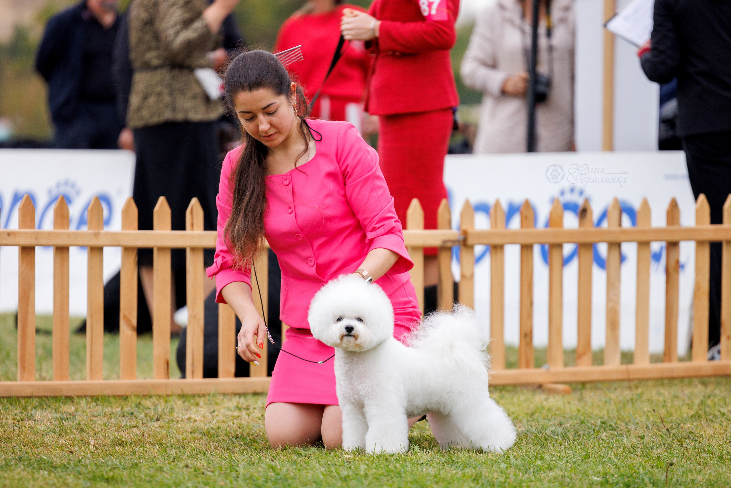 Армения,Ереван 3хCACIB 15-17.10.2024. Фотограф-анималист Юлия Германика