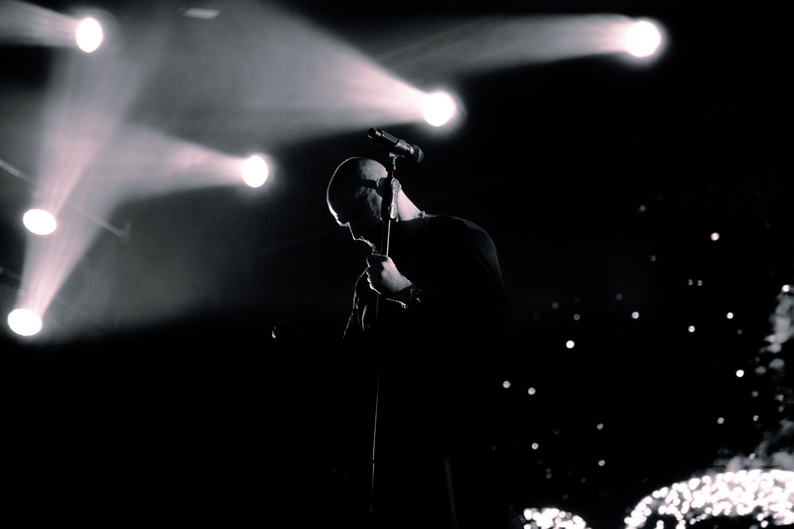 LOC-DOG. Фотограф Москва