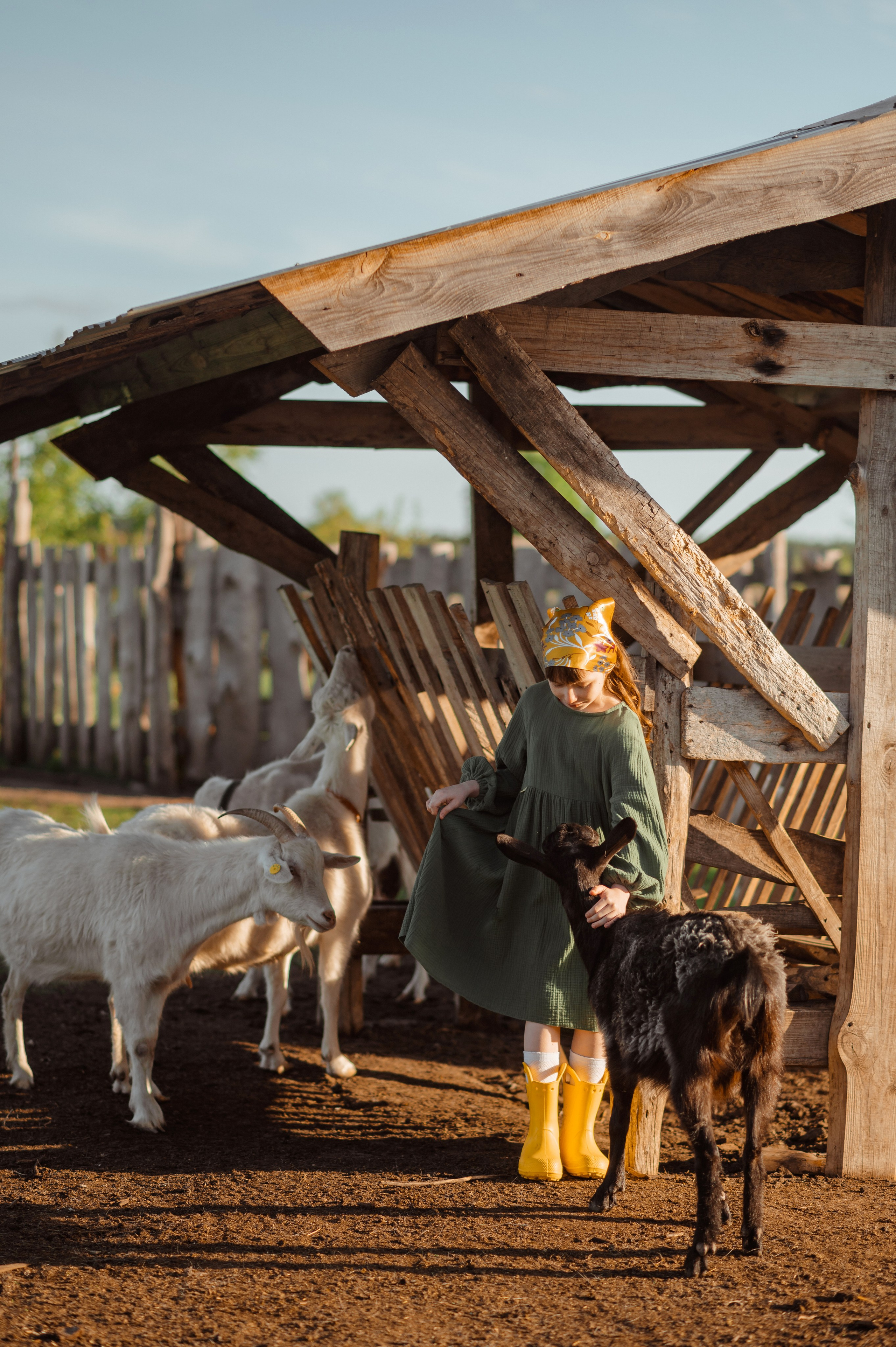 О любви к животным. Свадебный и семейный Фотограф в Пензе Татьяна Лапоногова