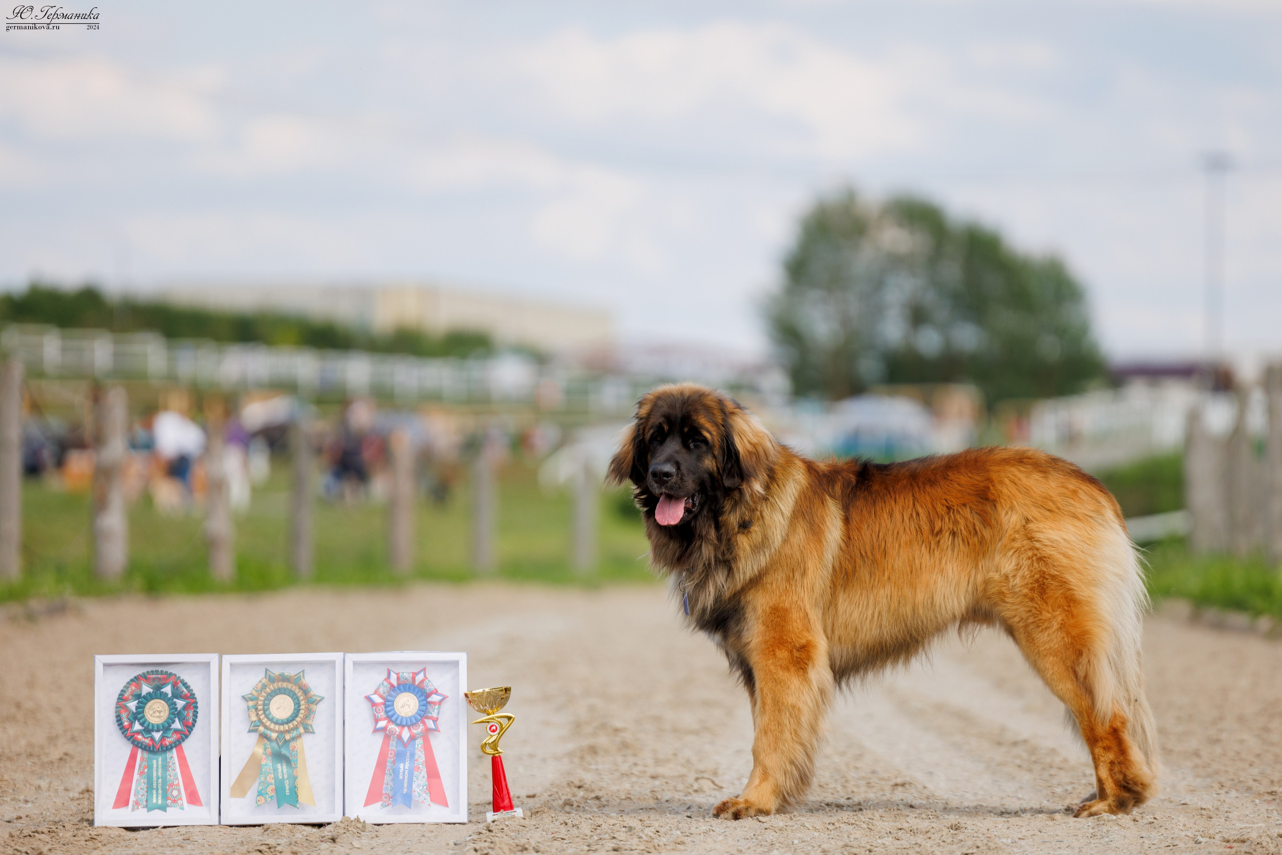 РОССИЯ 8-9.06.2024. Фотограф-анималист Юлия Германика