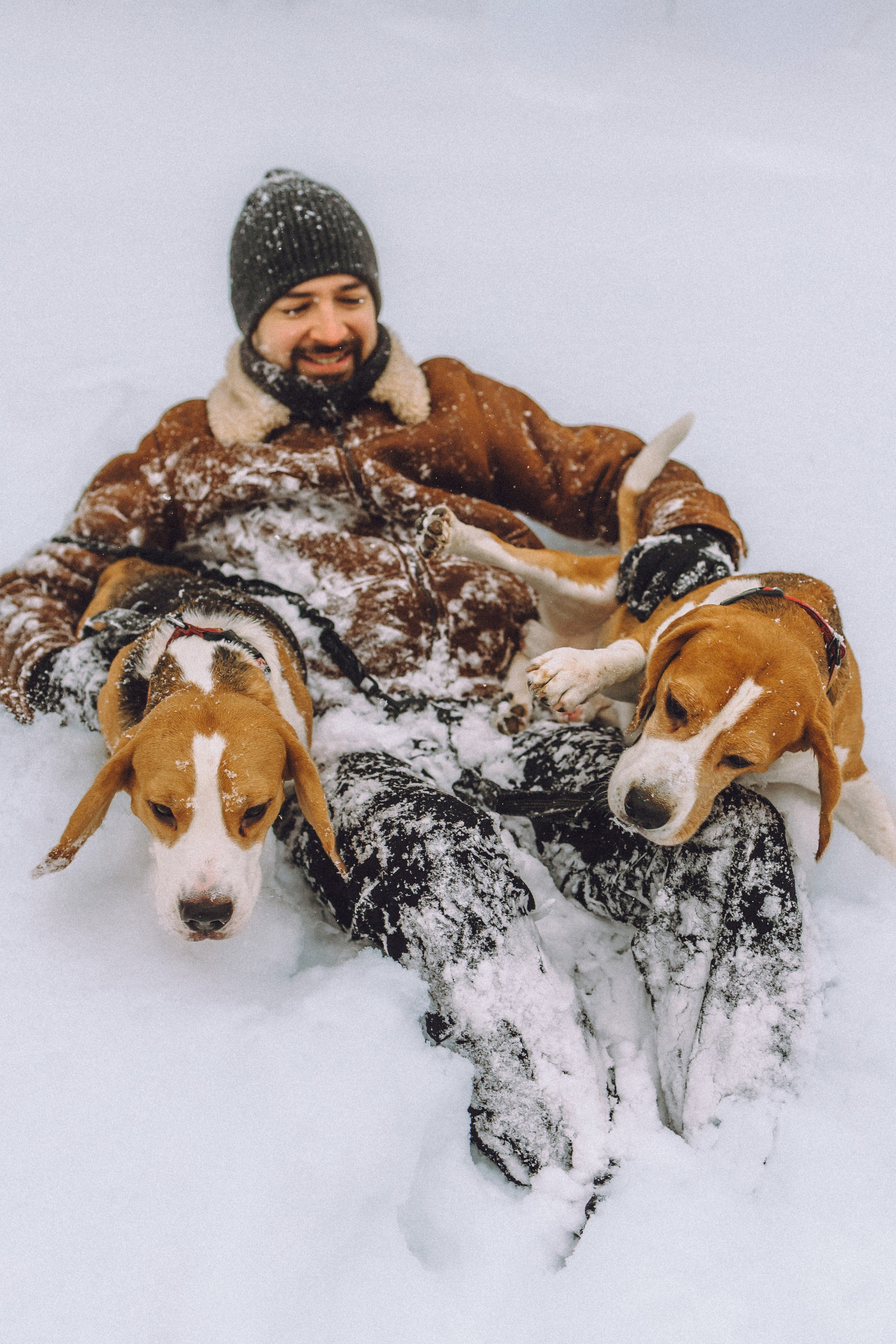 Роман, Портер и Коррес