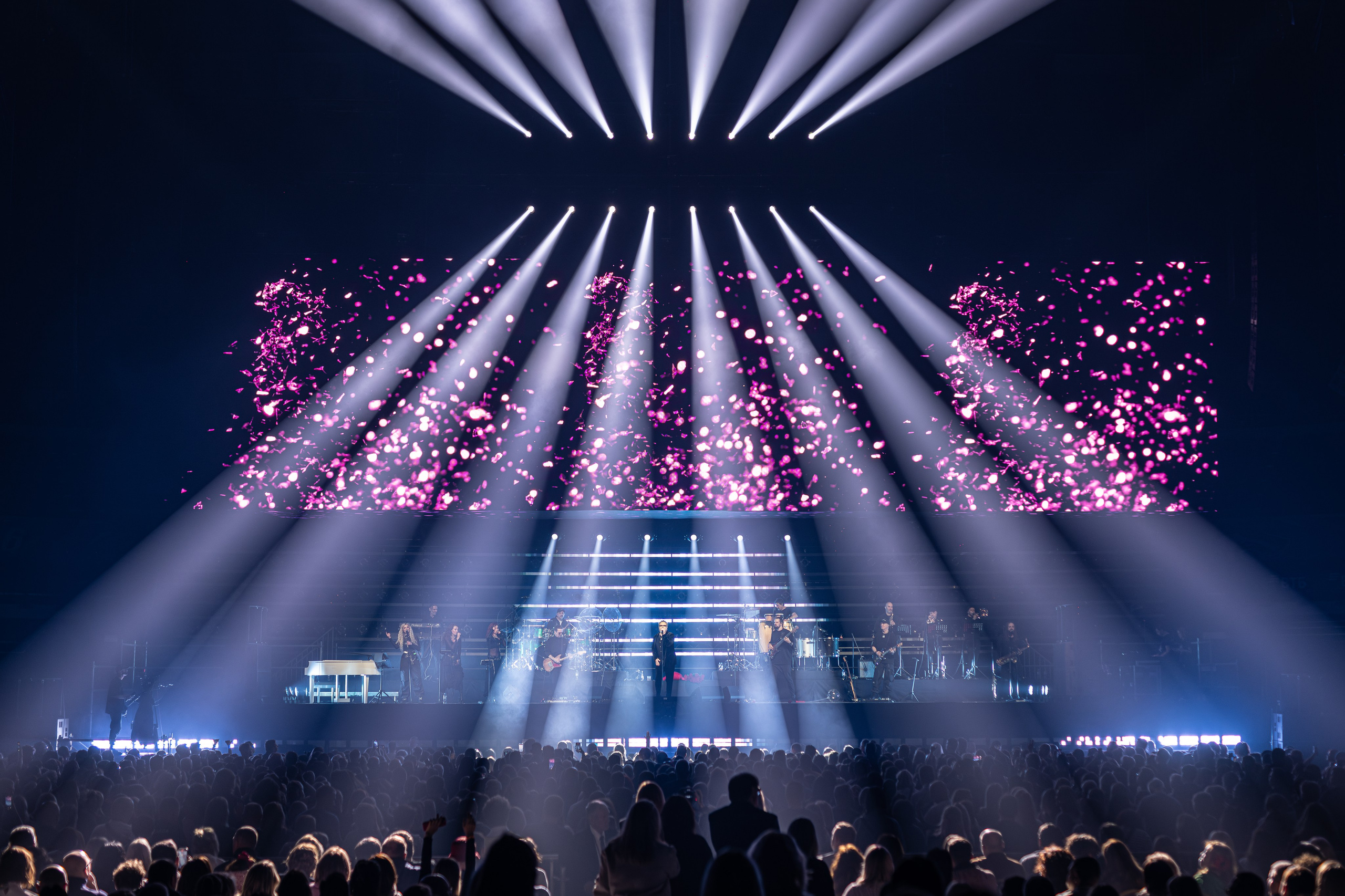 ВЛАДИМИР ПРЕСНЯКОВ / 2024. OOPS