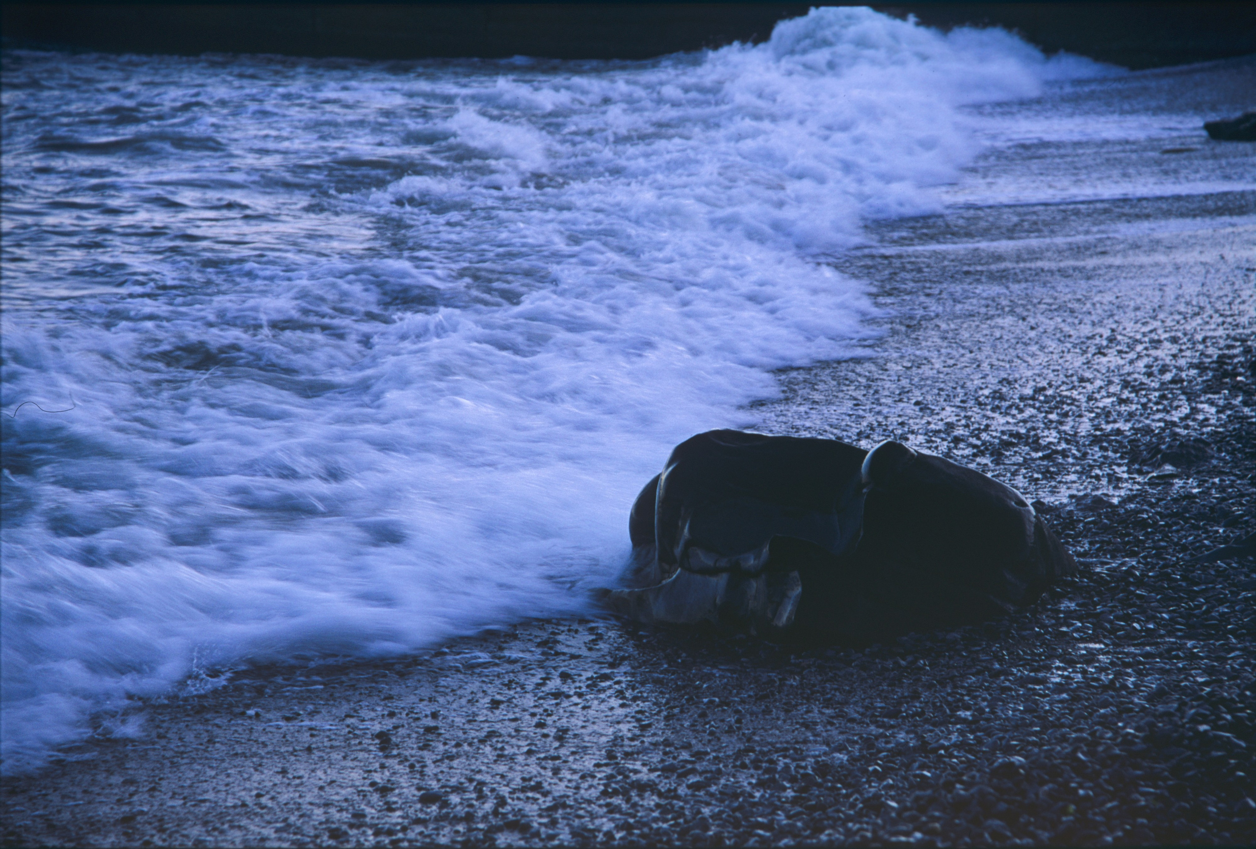 Горы и море. Фотограф в Санкт-Петербурге Березовский Даниил