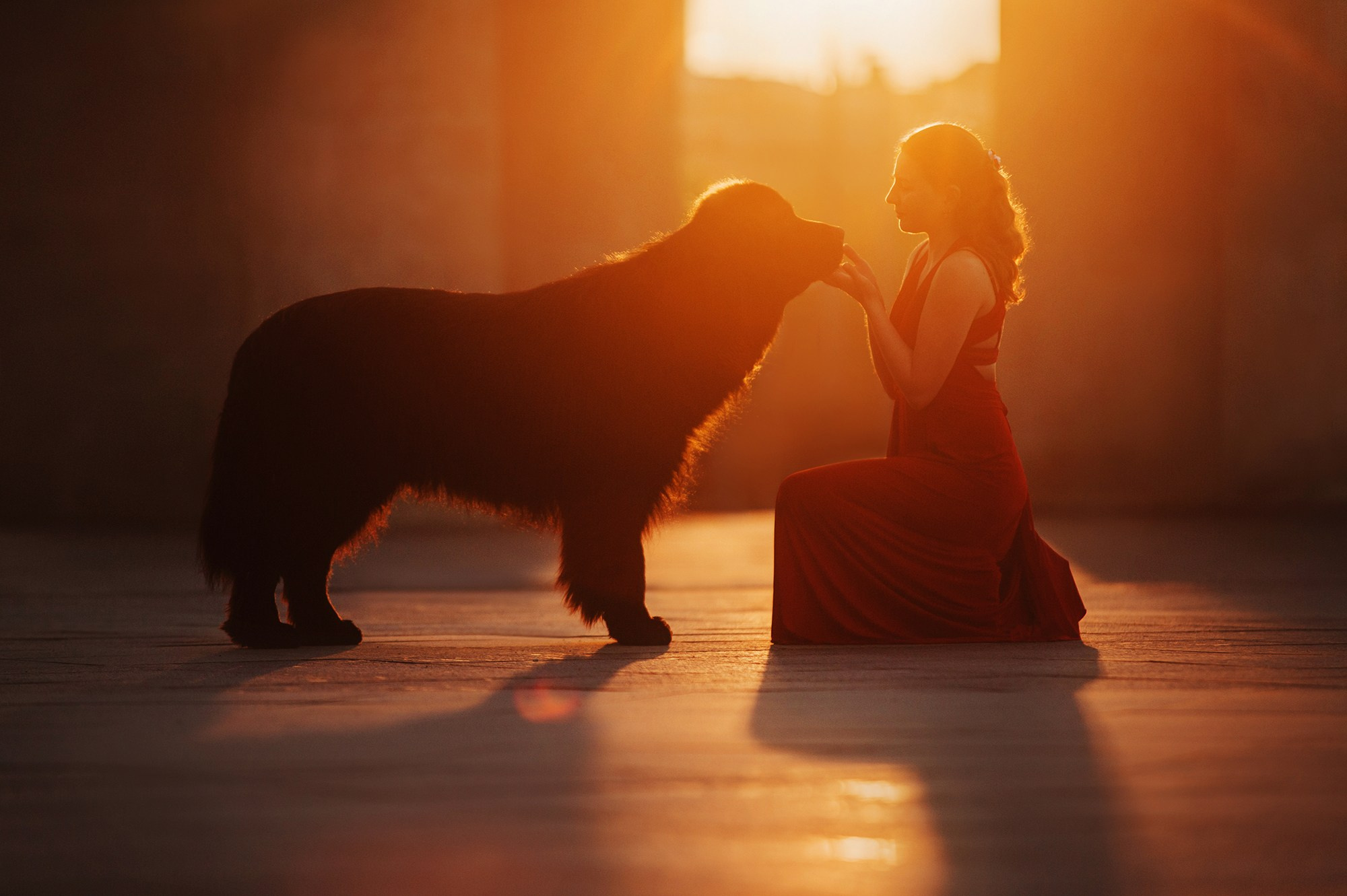 Человек и его друзья. Фотограф Анна Тюрина