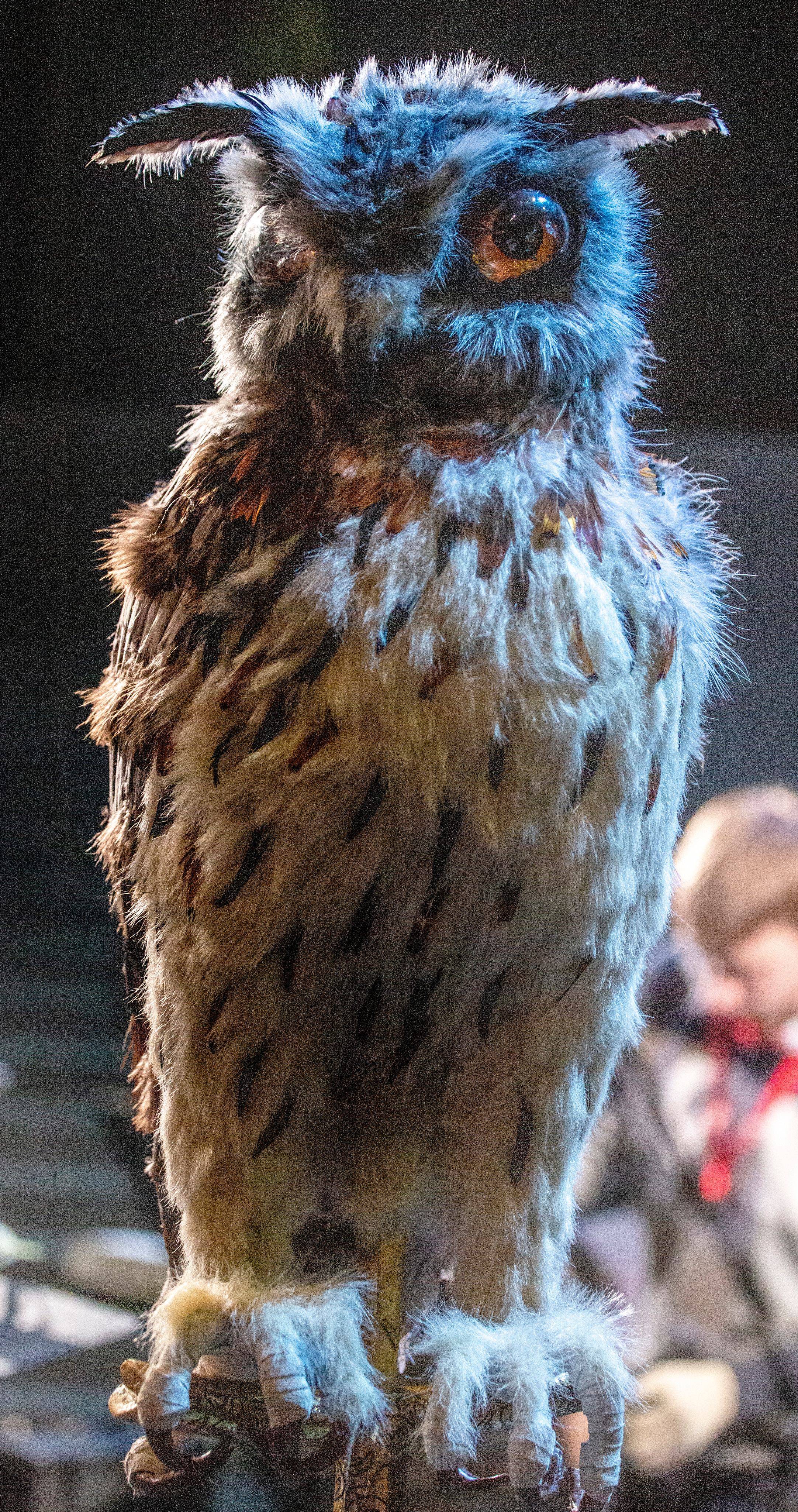 Премьера хоровой оперы «Сказ о Борисе и Глебе». Фотограф в Сочи Юрий Шептаев