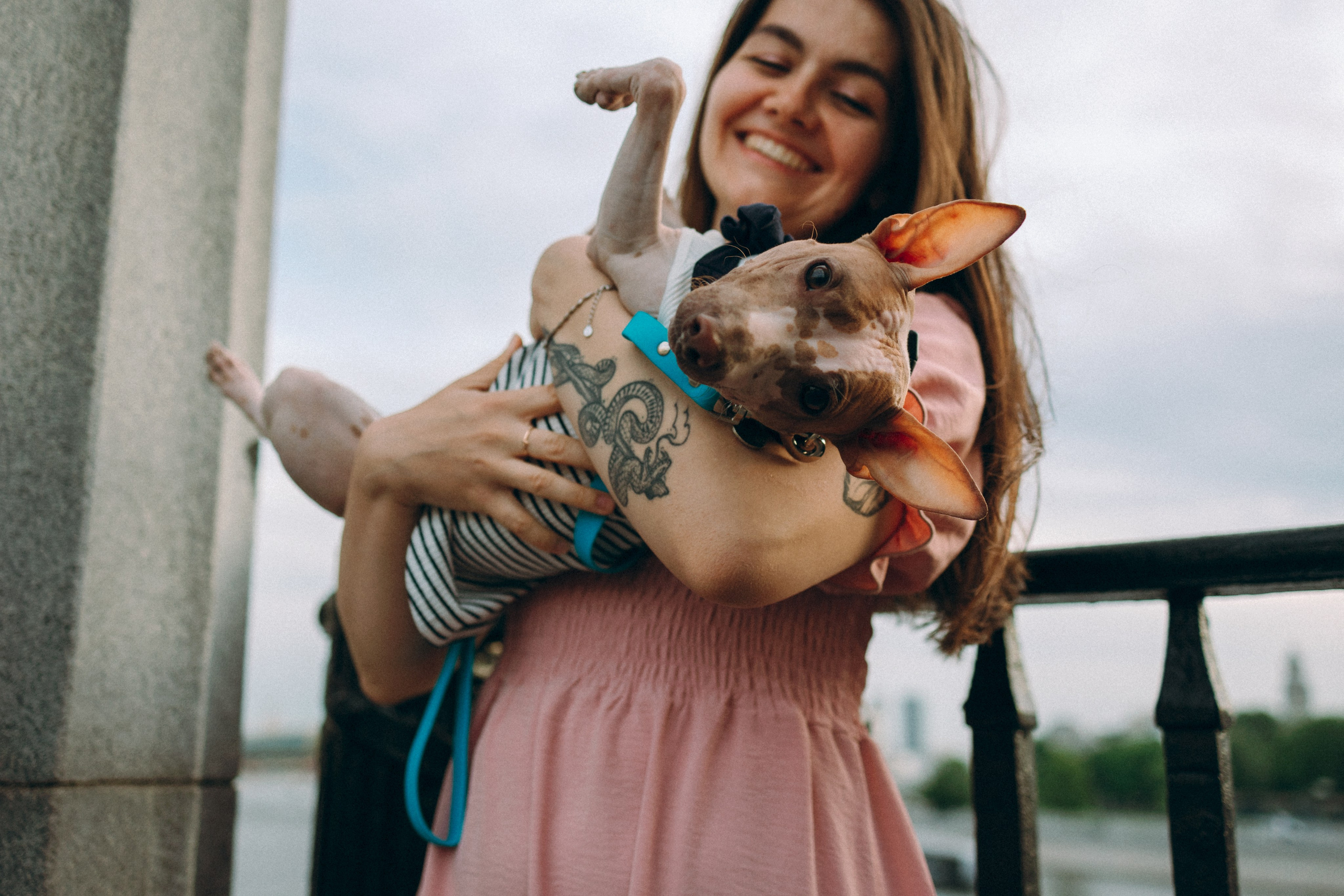 Глаша, Айрон, Ксюша и Оля. Фотограф анималист Анастасия Пикей