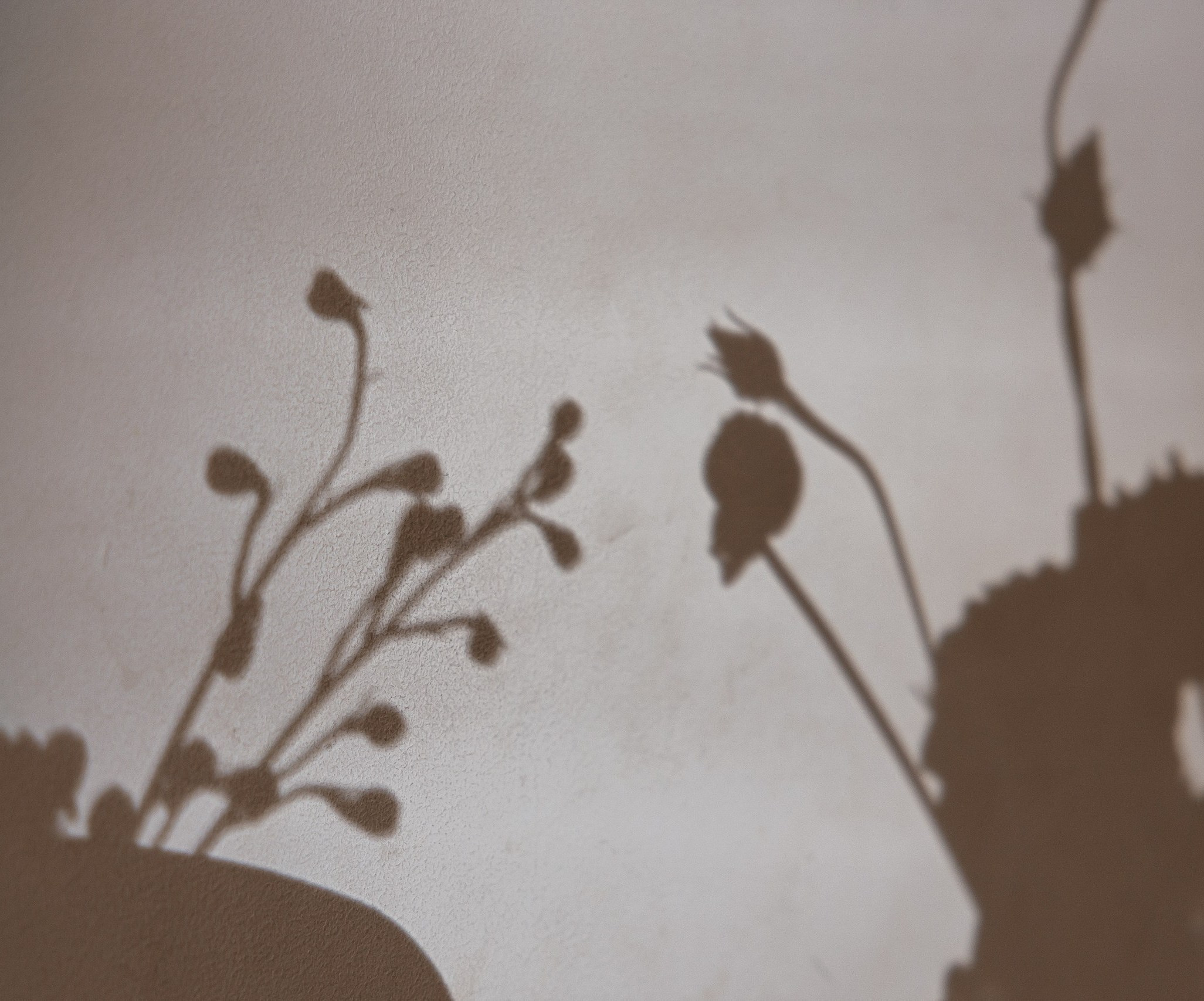 Софья и Максим. Свадебный и репортажный фотограф в Новосибирске Федор Гладков