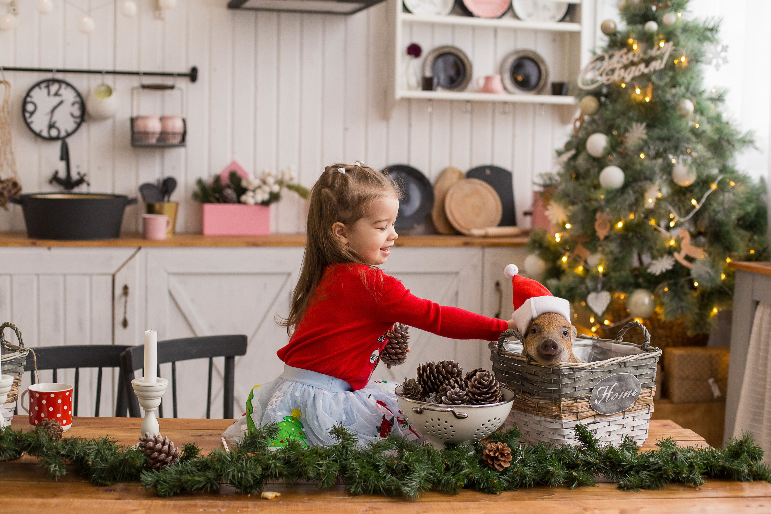 NY 2. Fotograf u Crnoj Gori-porodično fotografisanje sa djecom, lovestory, nekretnine