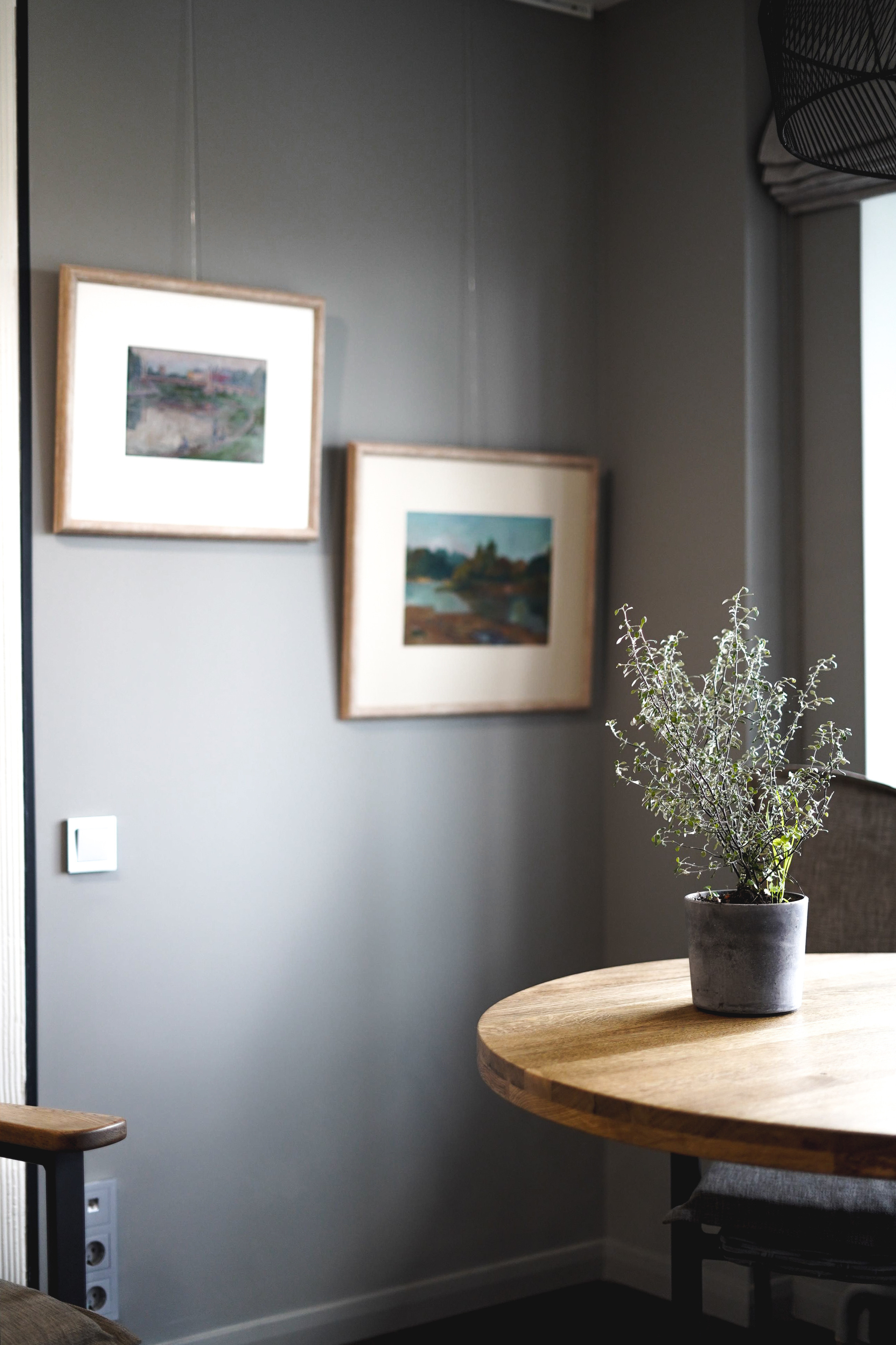 Интерьерная съемка в Москве. Фотограф, оператор, режиссер монтажа в Москве Сюзанна Евсюкова