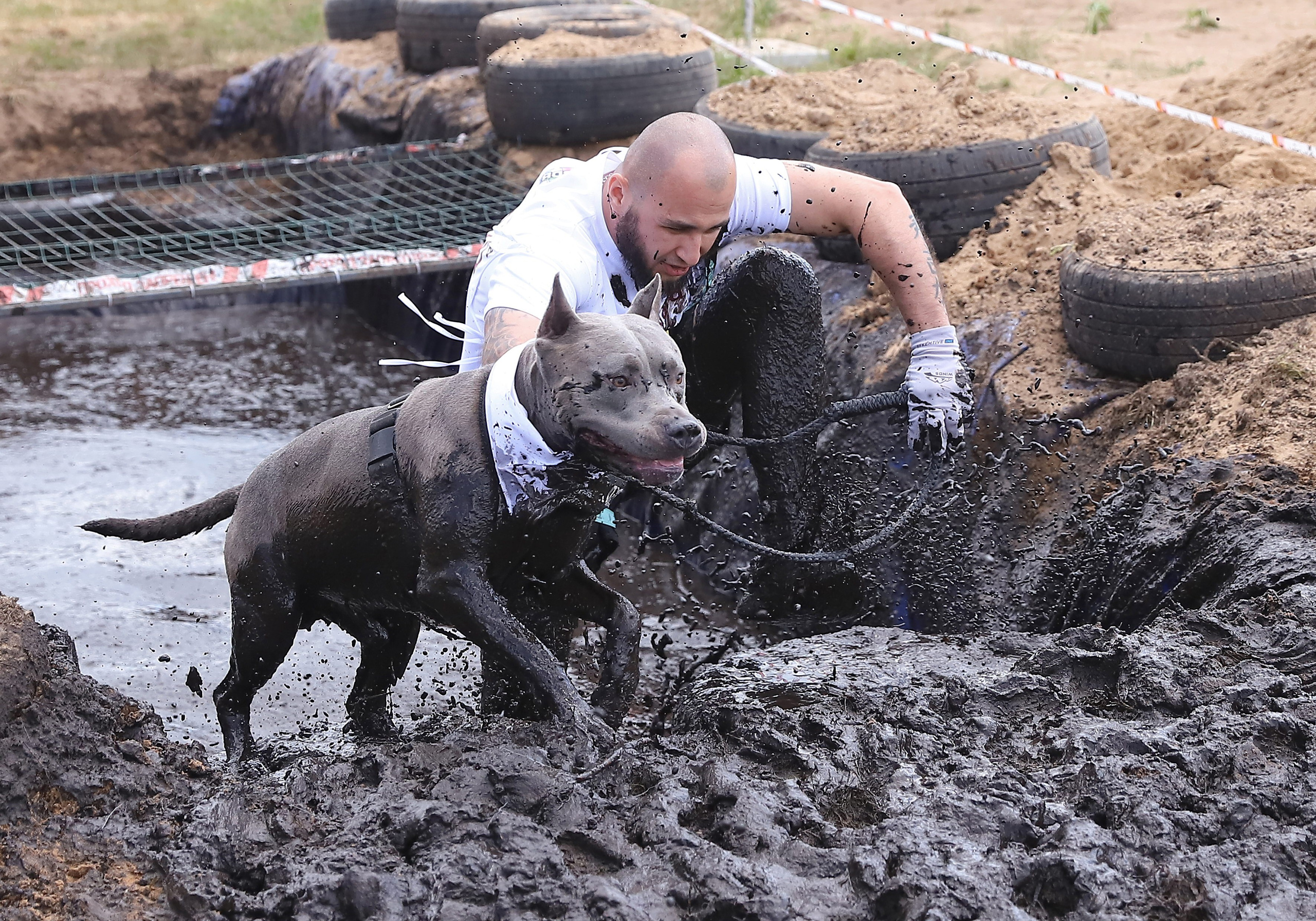 Хвостатый драйв. Семейный и детский фотограф в Москве и МО Елена Москвичева