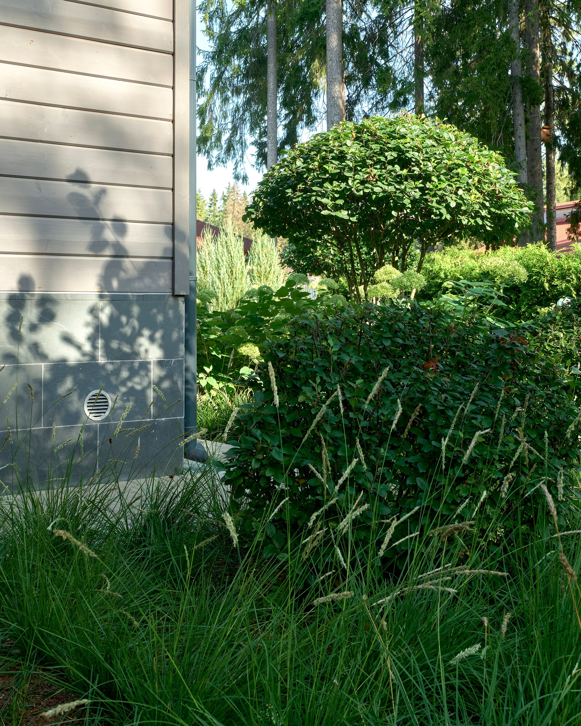 Ландшафтный и интерьерный фотограф Наталья Соловьева. Фотосъемка сада в Рощино для студии Мята | interioto