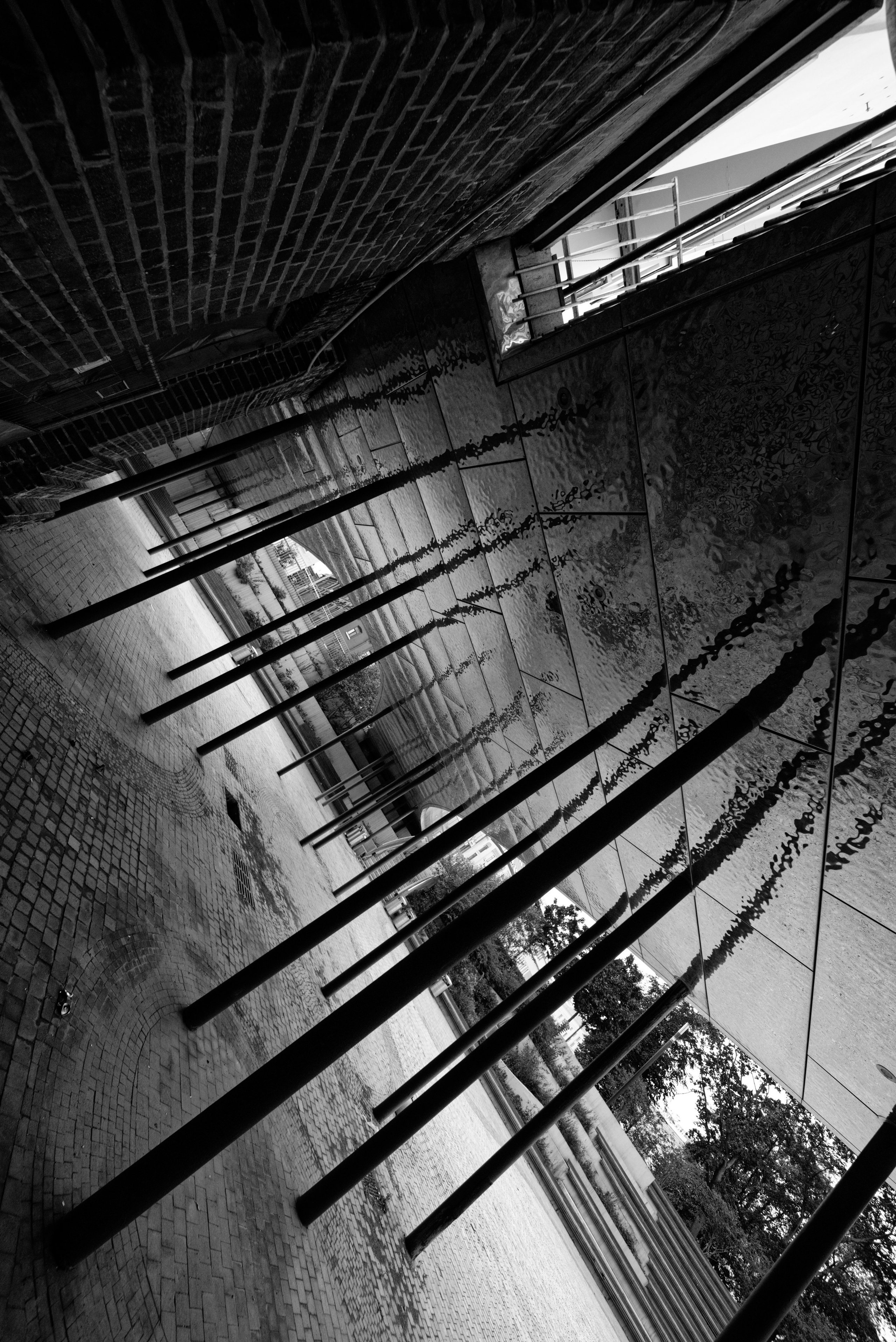 Pentax K-1 II + Laowa 12/2.8