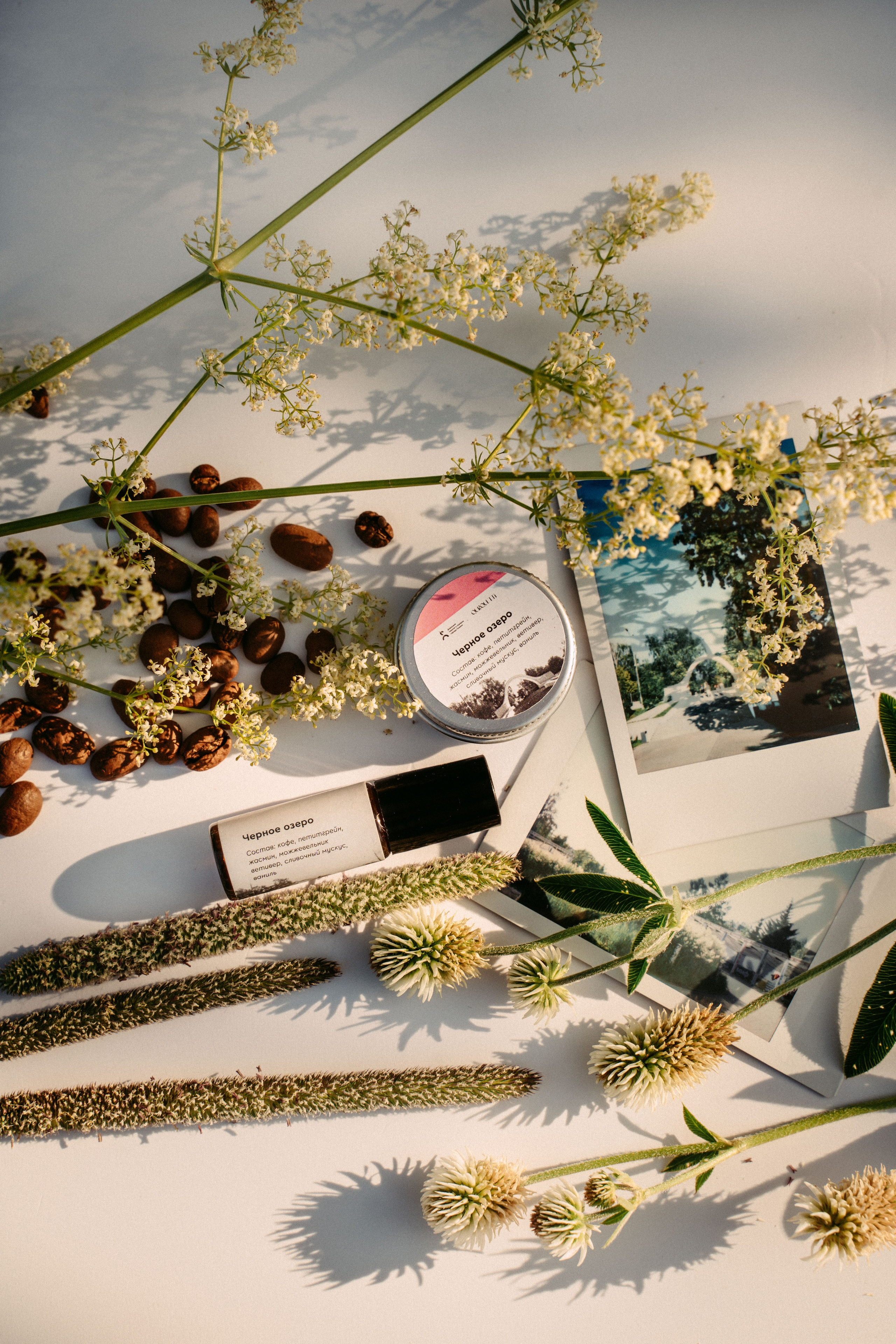 «Парки рядом» / мерч дирекции парков и скверов РТ. Саша Копылов, фотограф в Казани