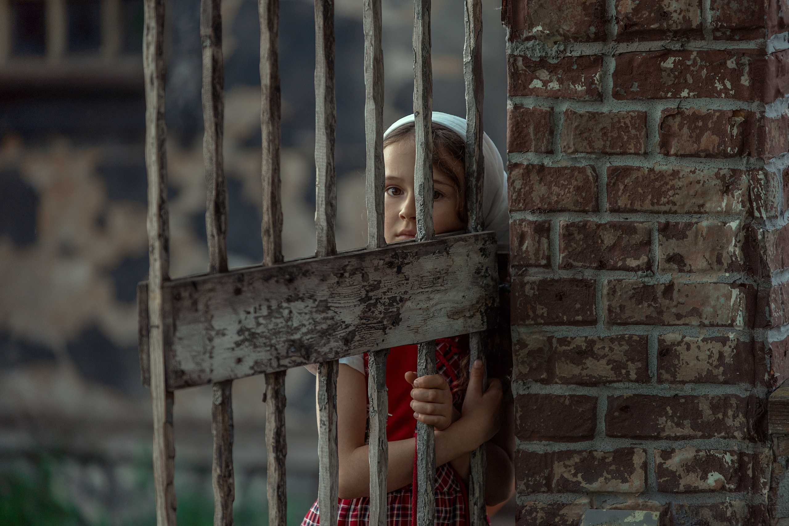 Семейный, детский и будуарный фотограф в Москве Владимир Никитин