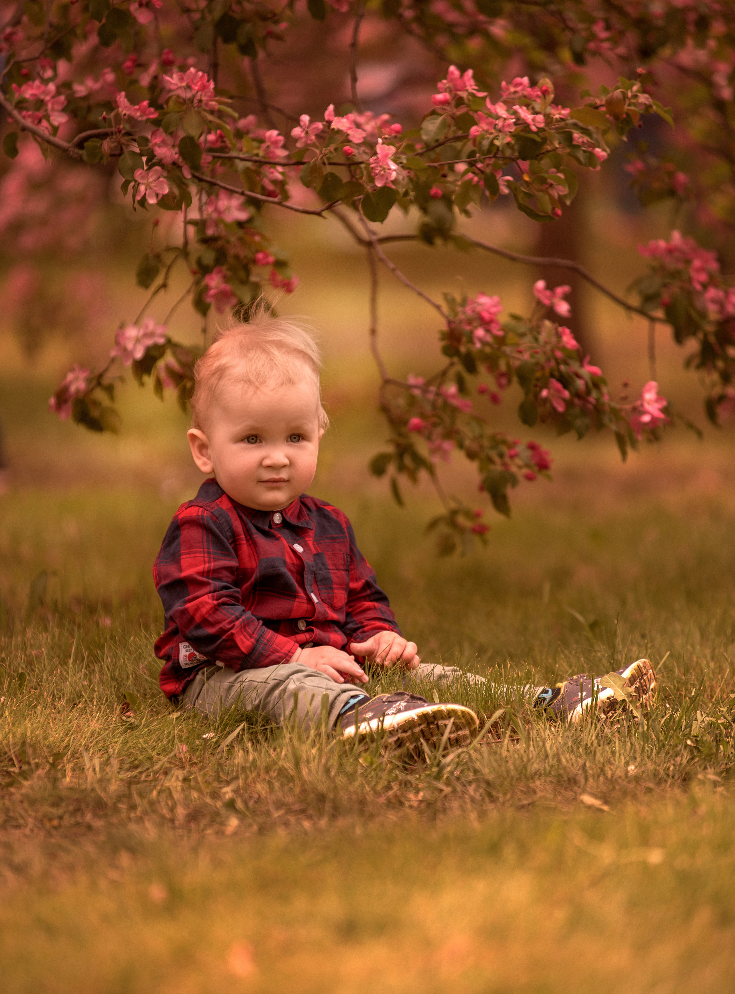 Семейный, детский и будуарный фотограф в Москве Владимир Никитин