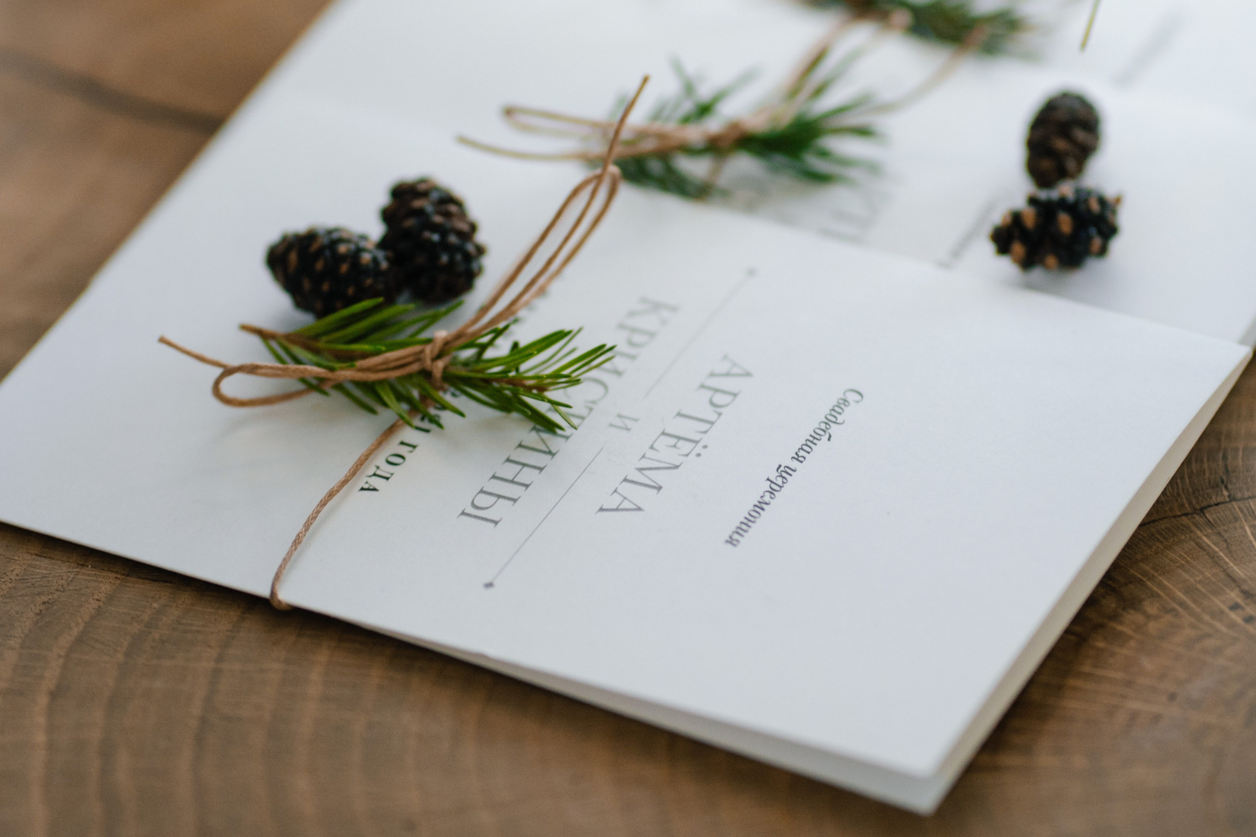 Артем & Кристина. Свадебный фотограф в Санкт-Петербурге — Евгения Лютоева