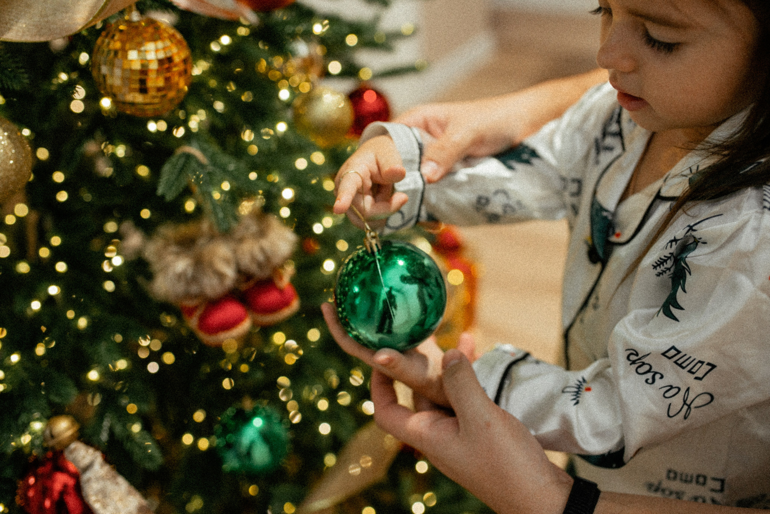 Домашняя новогодняя. Галина Чекунова Фотограф в Ростове-на-Дону