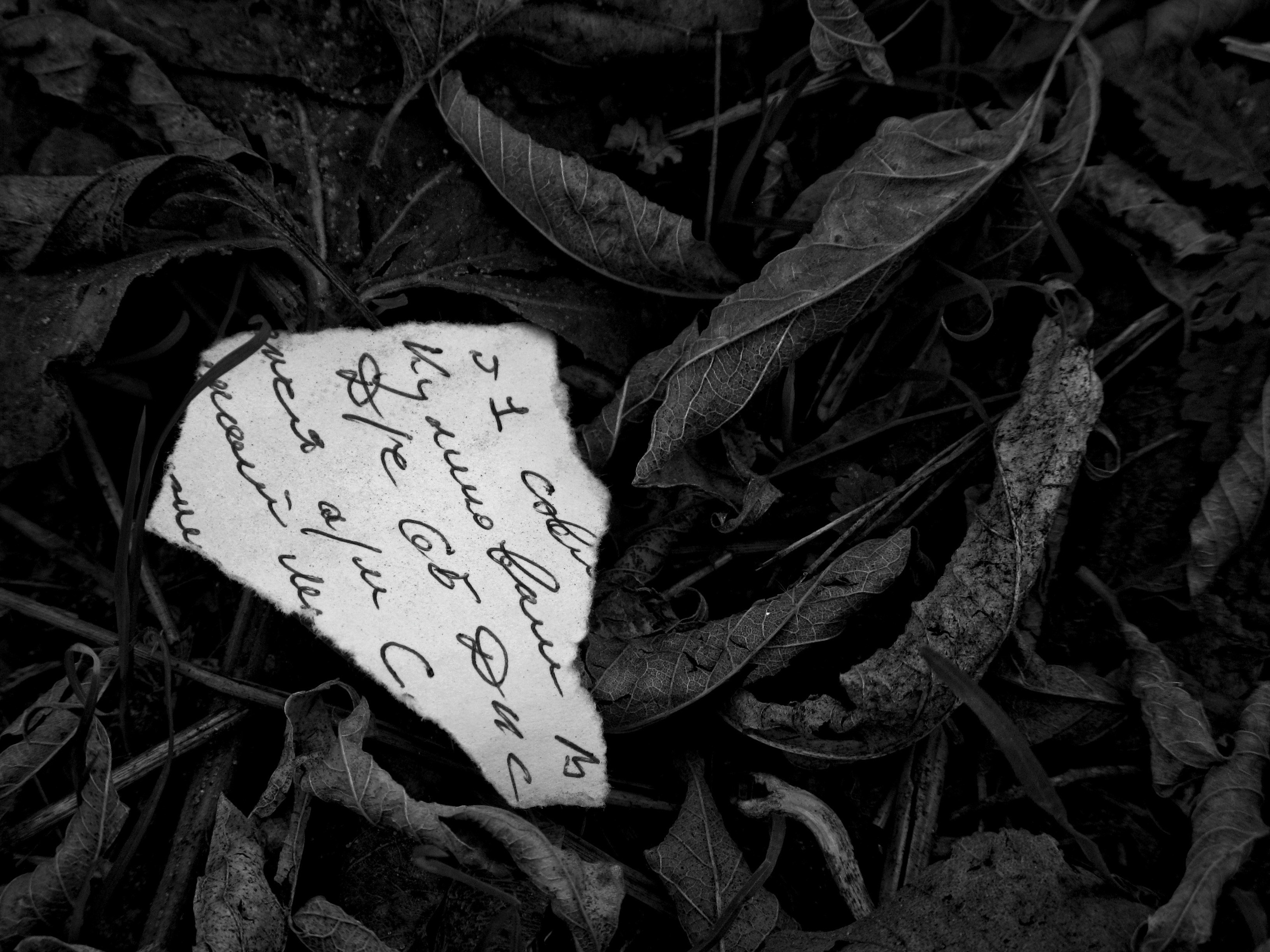 Автор: Анастасия Келер