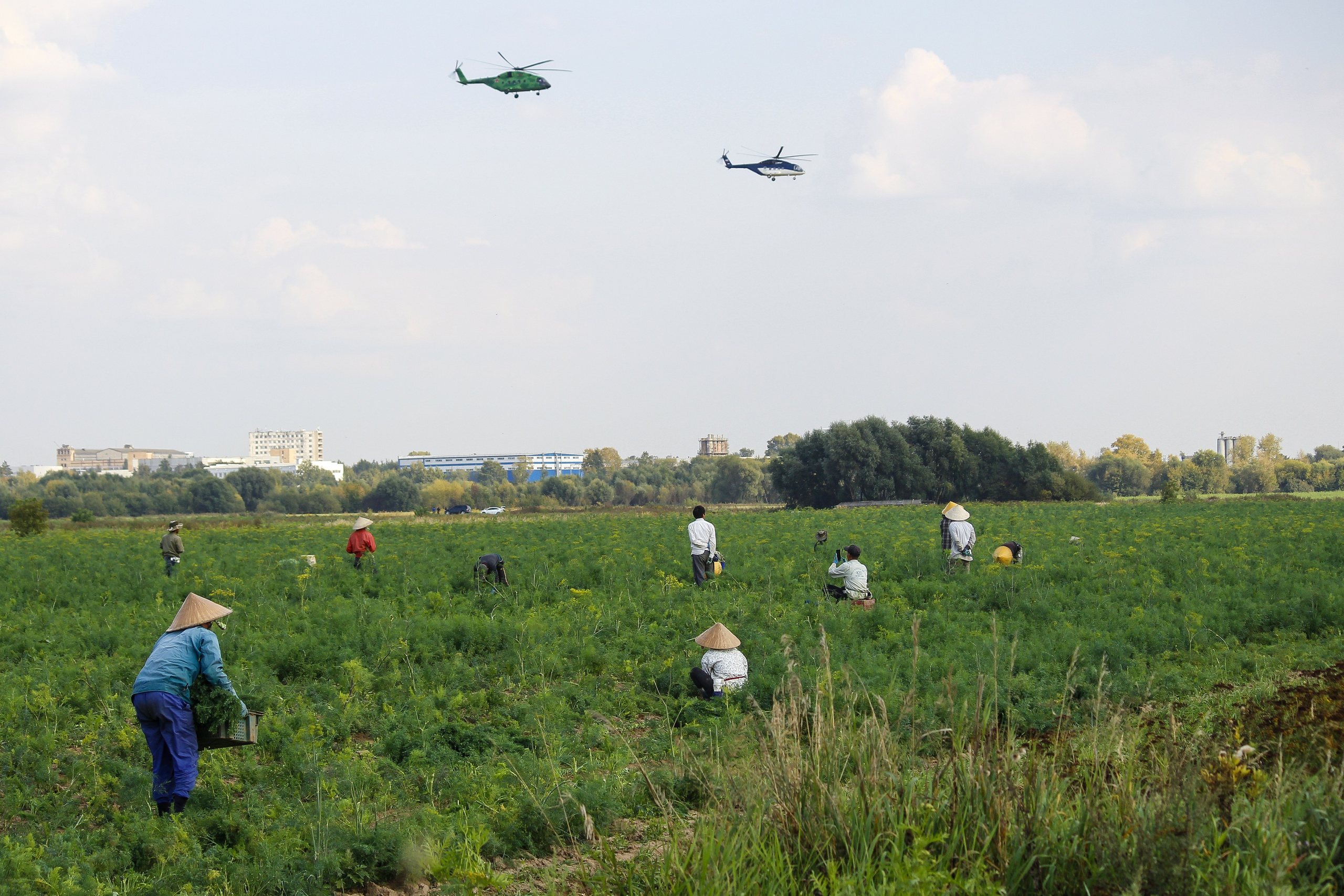 Автор: Серёжа Цюцюра