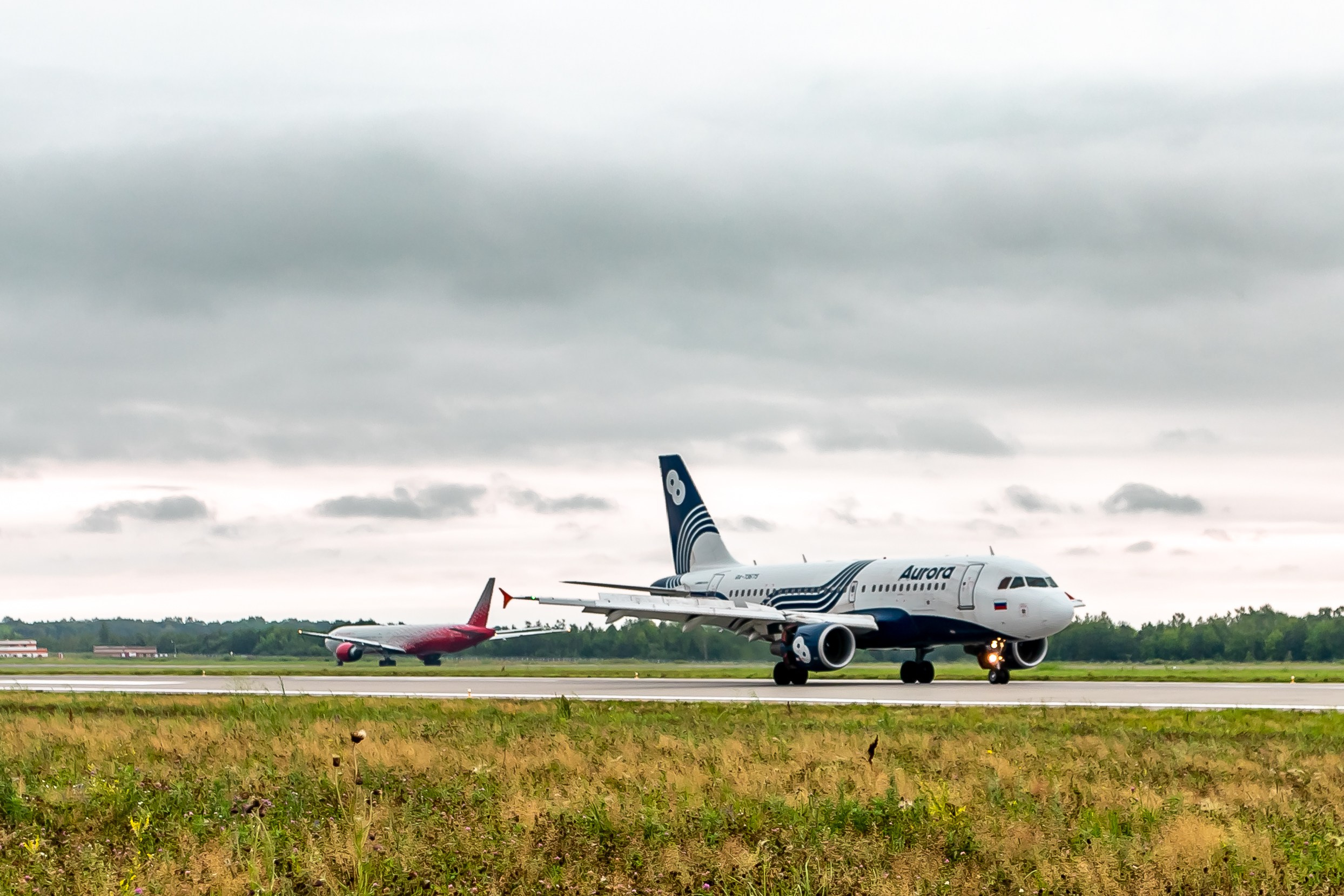 Споттинг 2024. Семейный и детский фотограф в Хабаровске Алевтина Проскурякова