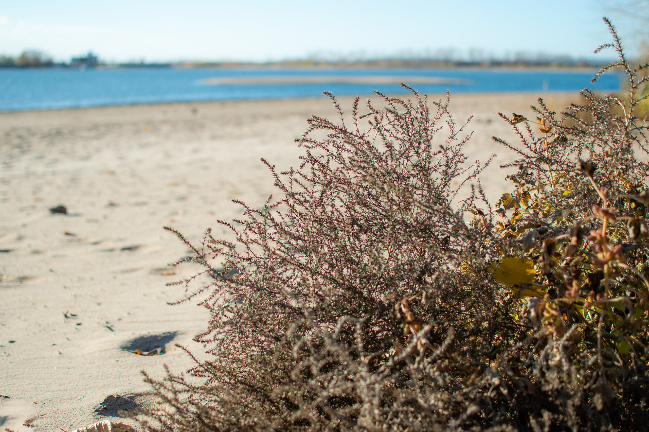 Венера. Романова Светлана — семейный и женский фотограф в городе Казань