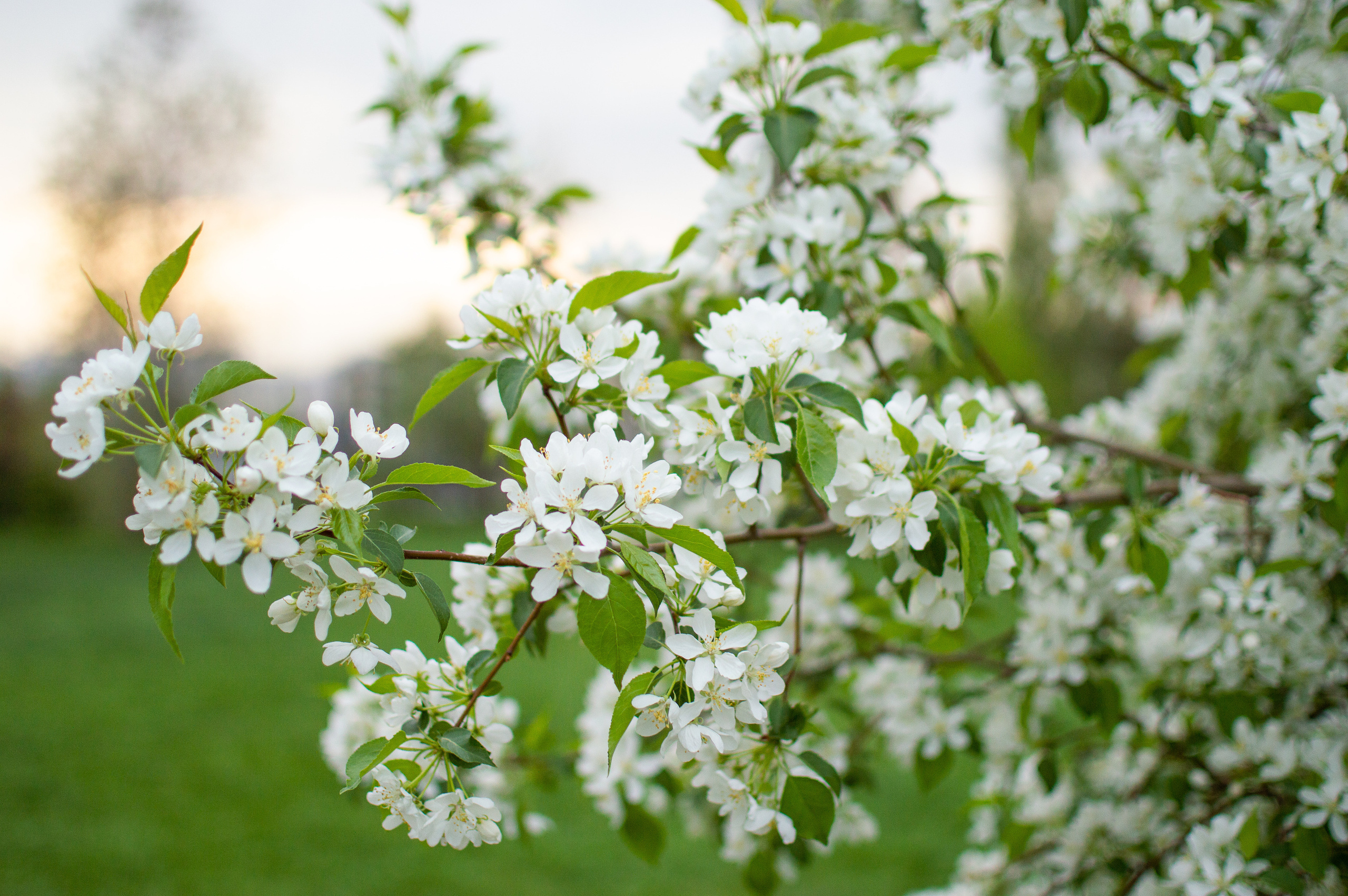 Гузель. Романова Светлана — семейный и женский фотограф в городе Казань