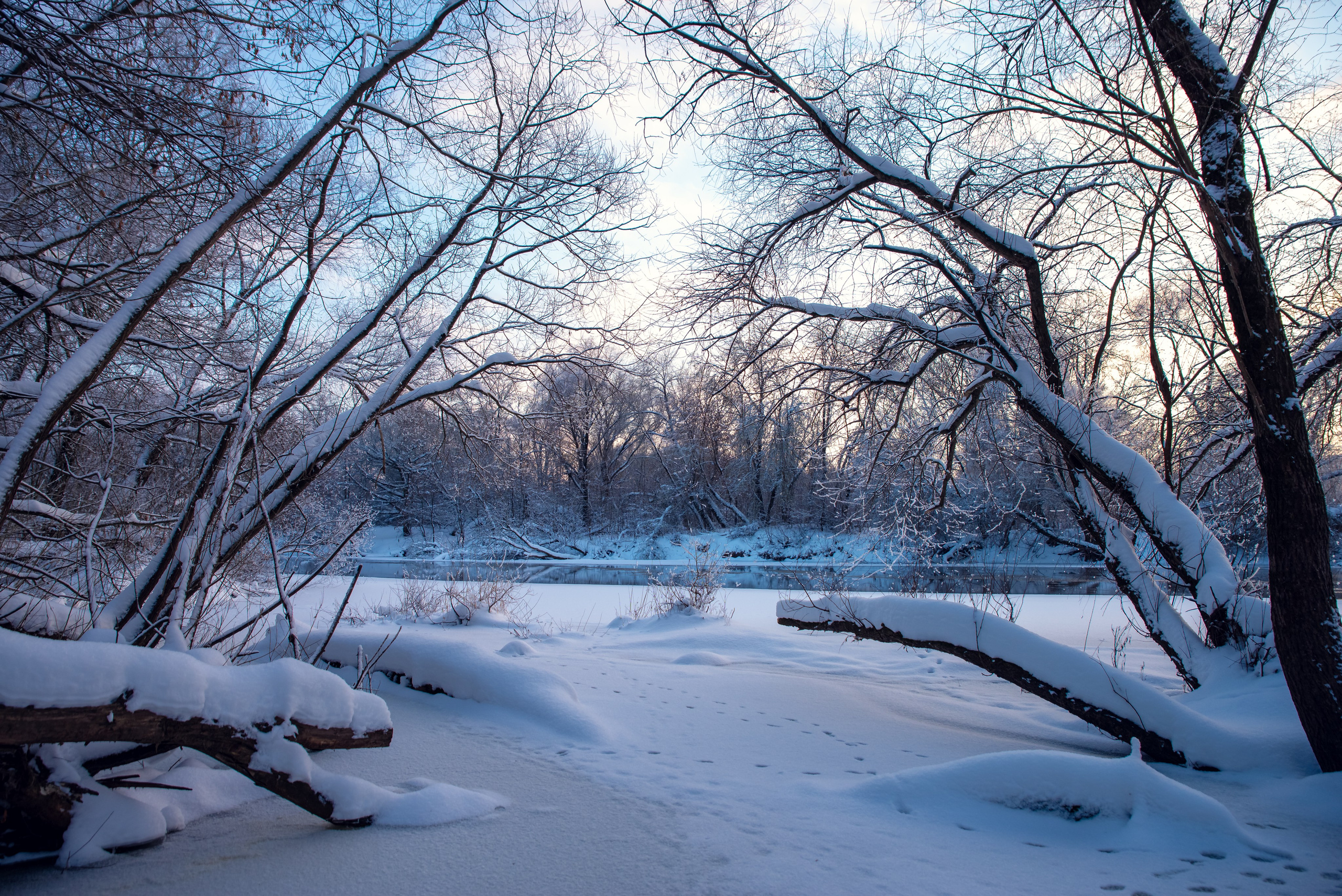 Зимушка зима. Фотограф Крещение Венчание Москва