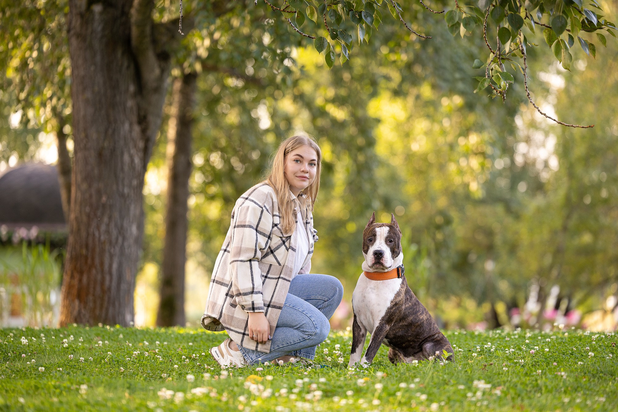 Амстафф Честер и его семья. Фотограф-анималист Natalia Deingel | Фотосъемка собак в Москве