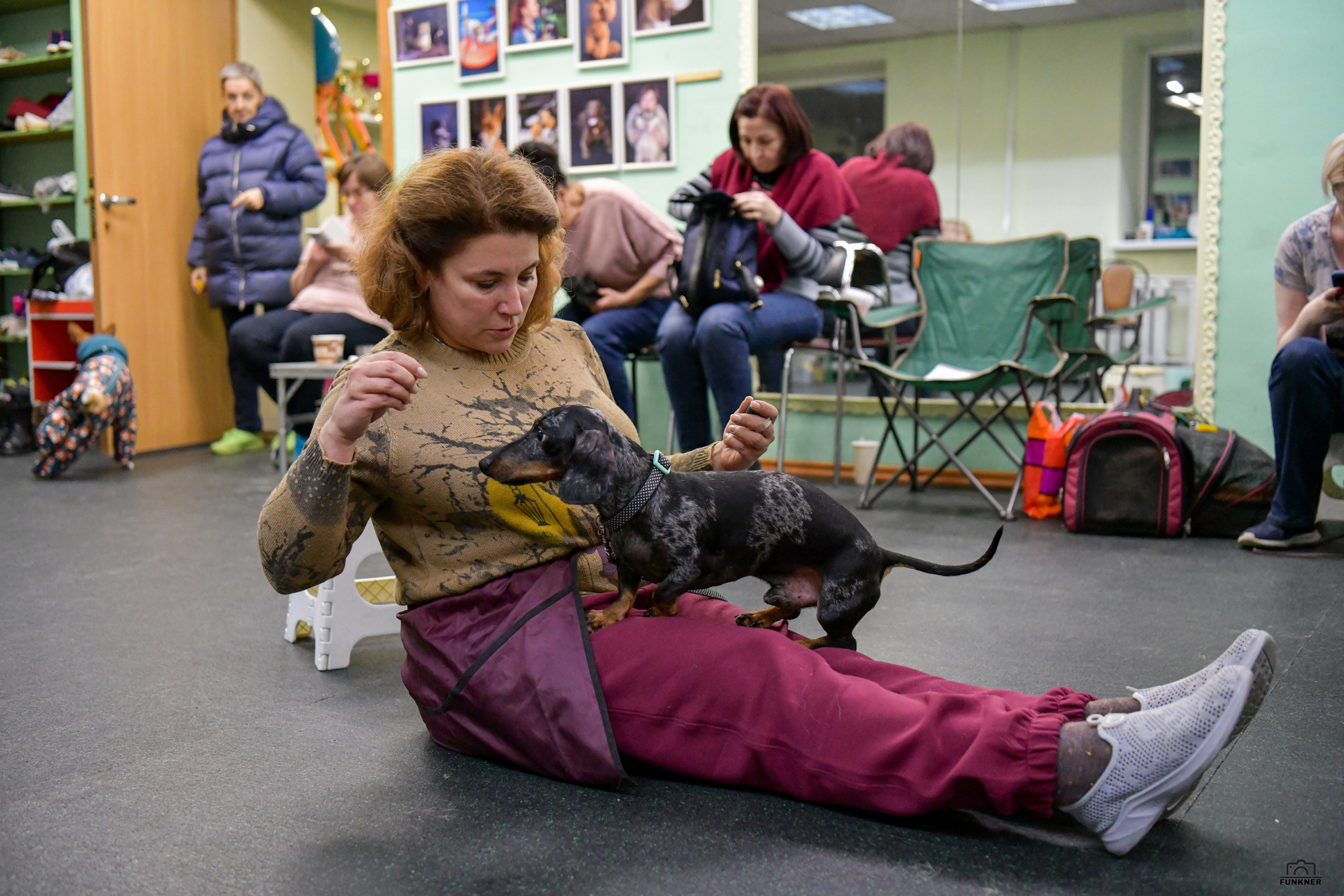 Кинологический клуб «Бодрый хвост». Свой взгляд через объектив