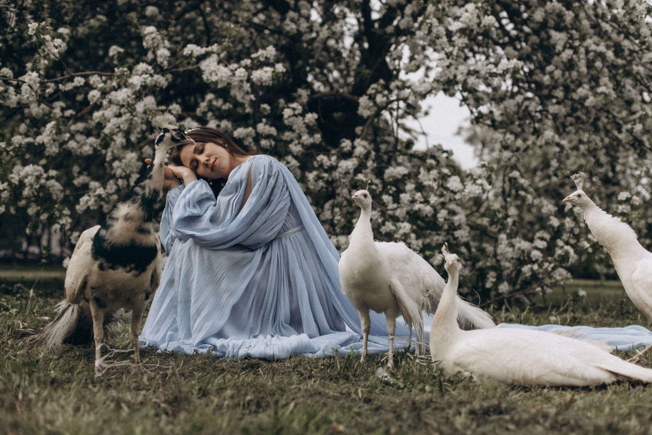 Анастосия. Kolomenskaia Kseniia Family photographer