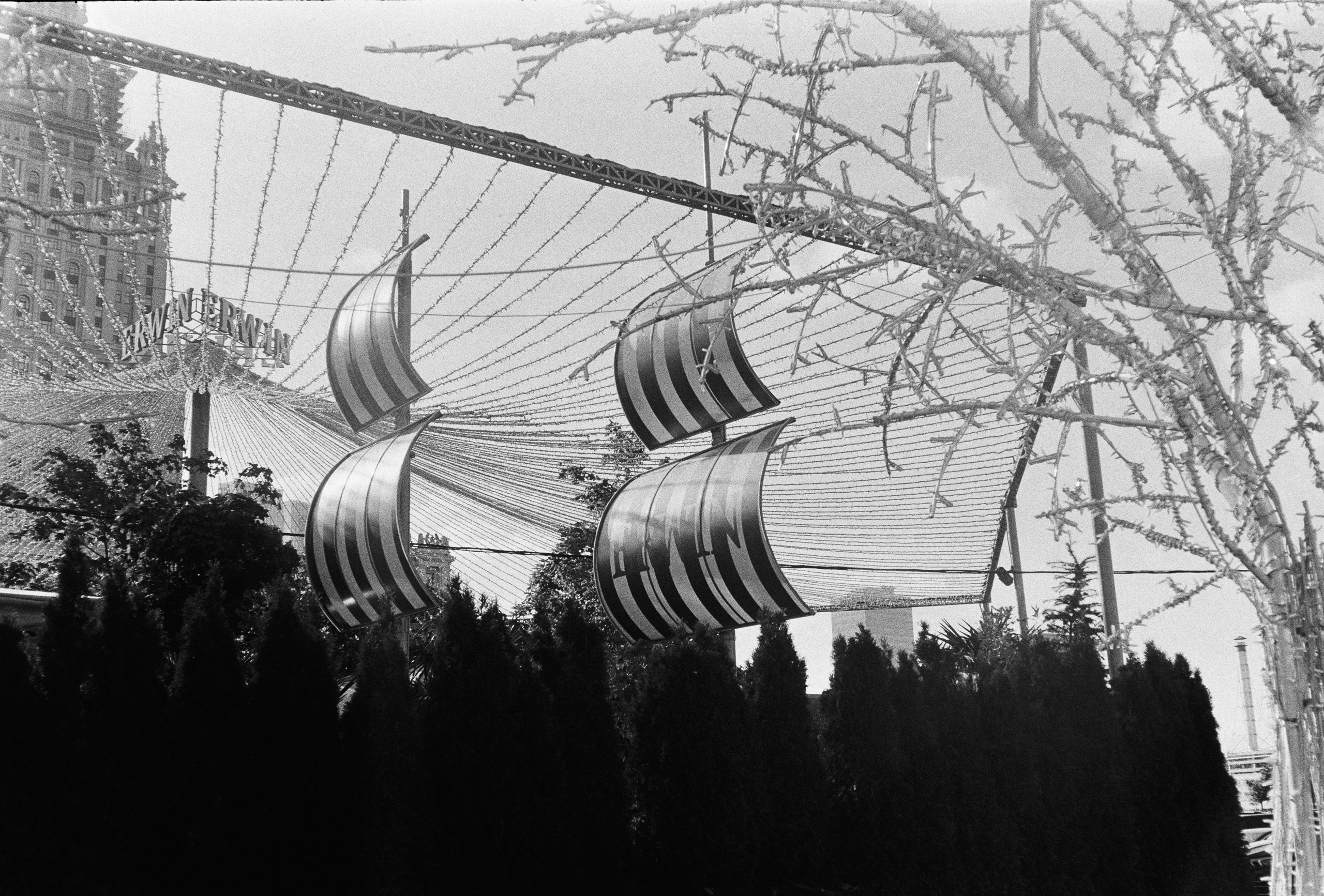 Роскошь. Сергей Новиков Фотограф Москва