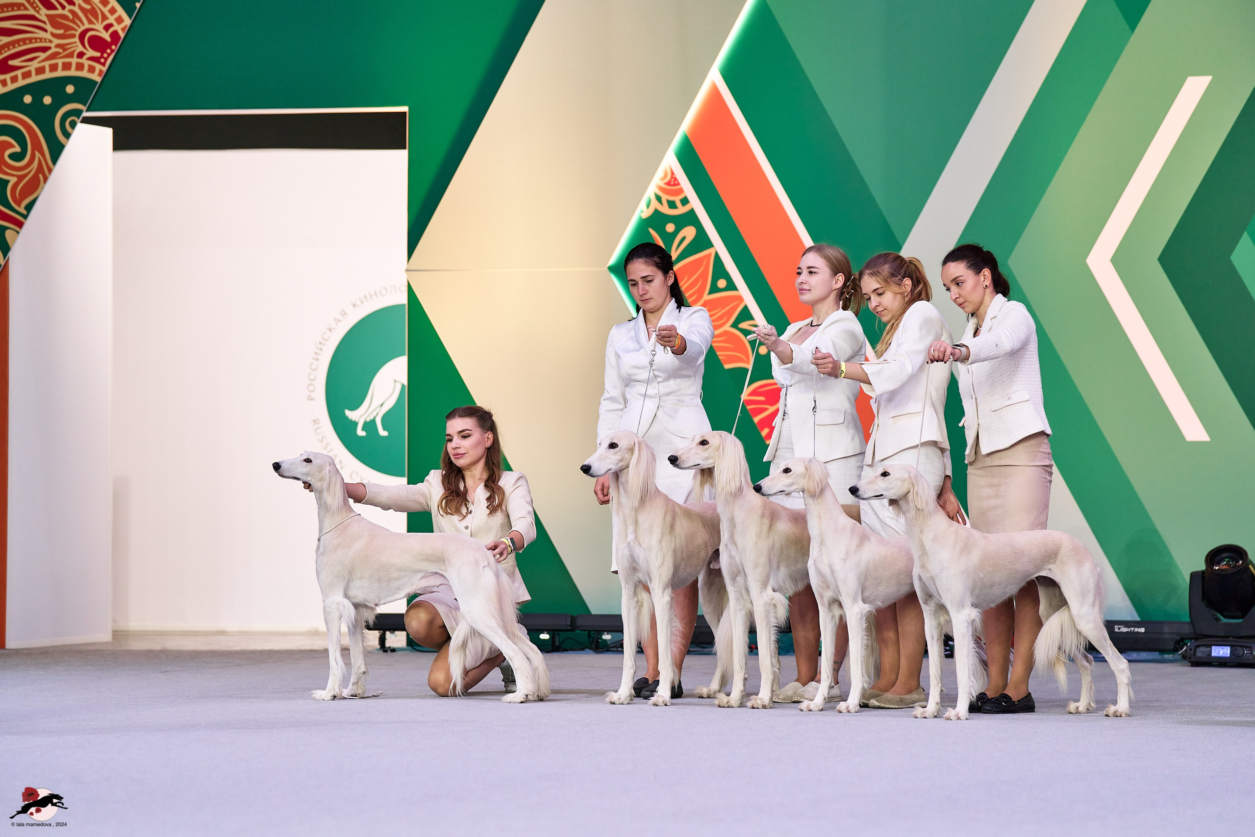 17.11.2024 «ЕВРАЗИЯ. КУБОК СНГ 2024»